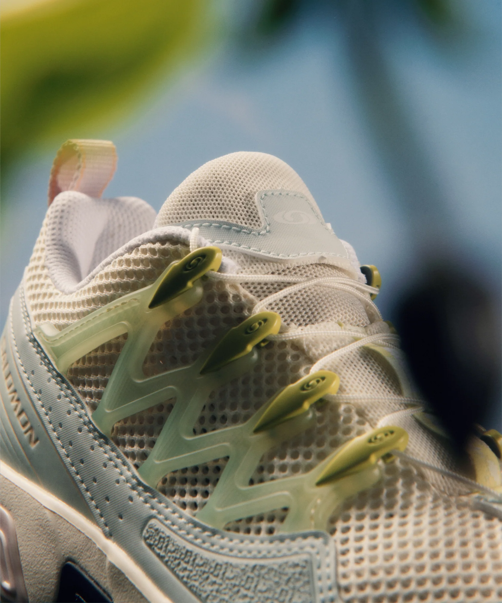 ACS + OG ALPEN BLOSSOM - Image 12
