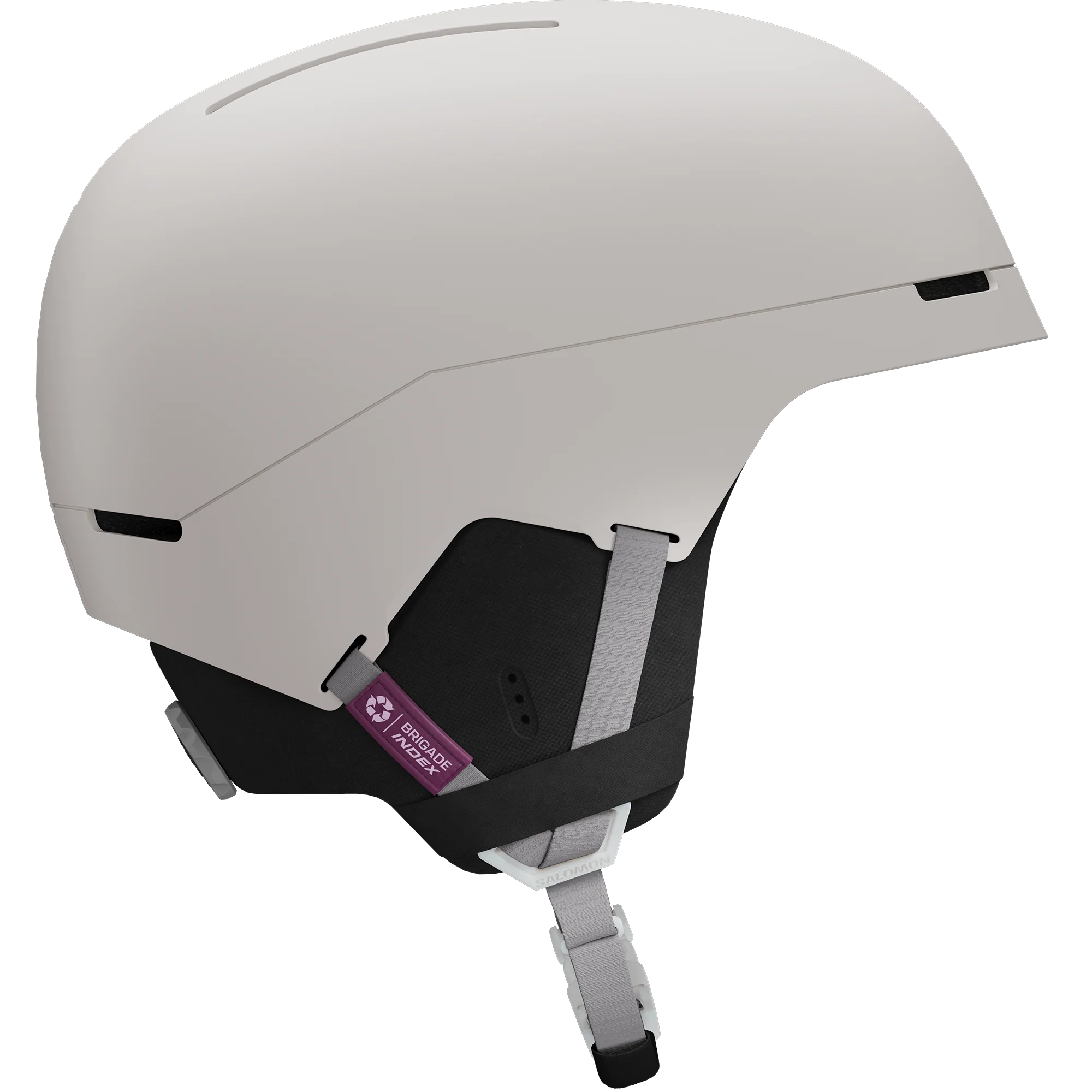 BRIGADE INDEX MIPS