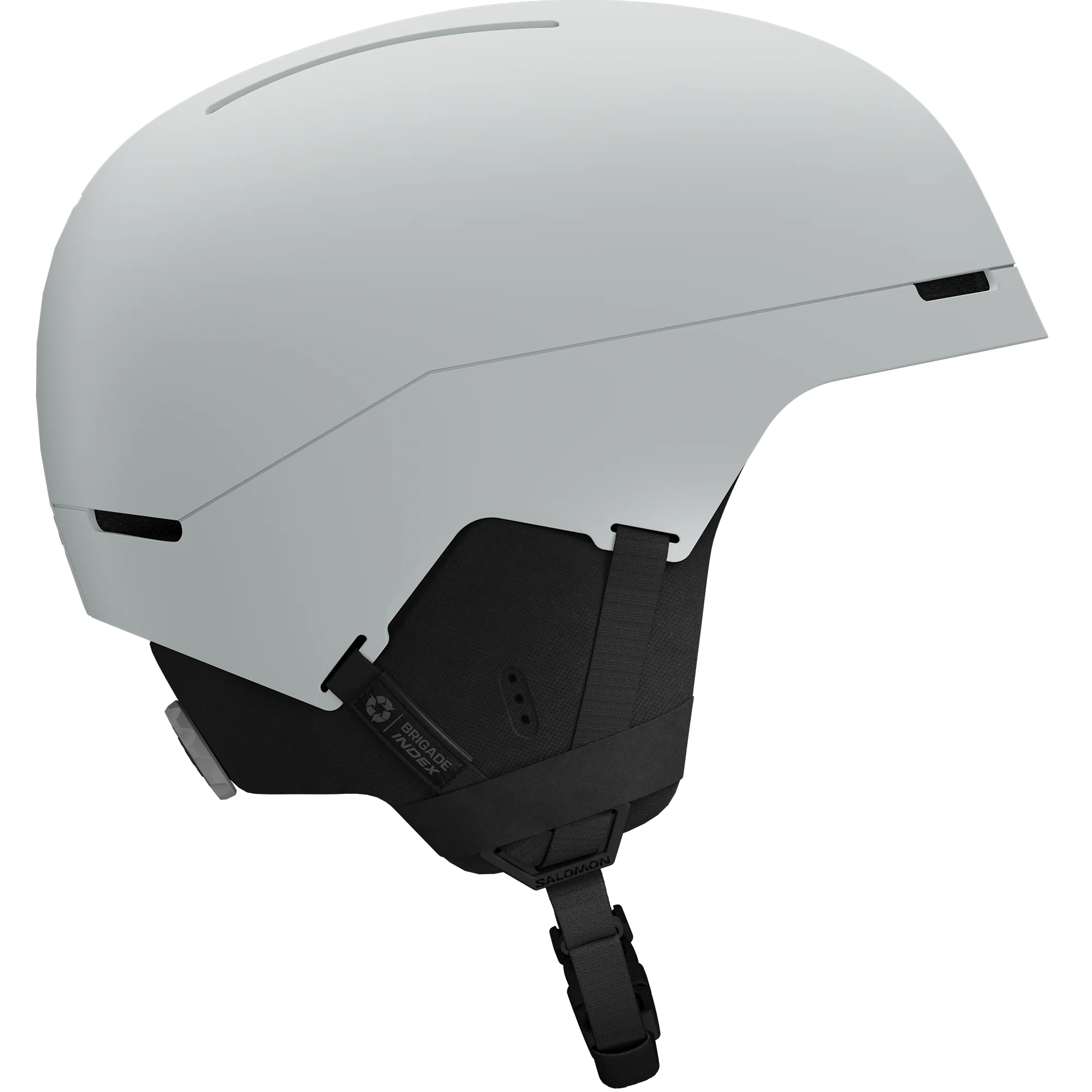 BRIGADE INDEX MIPS