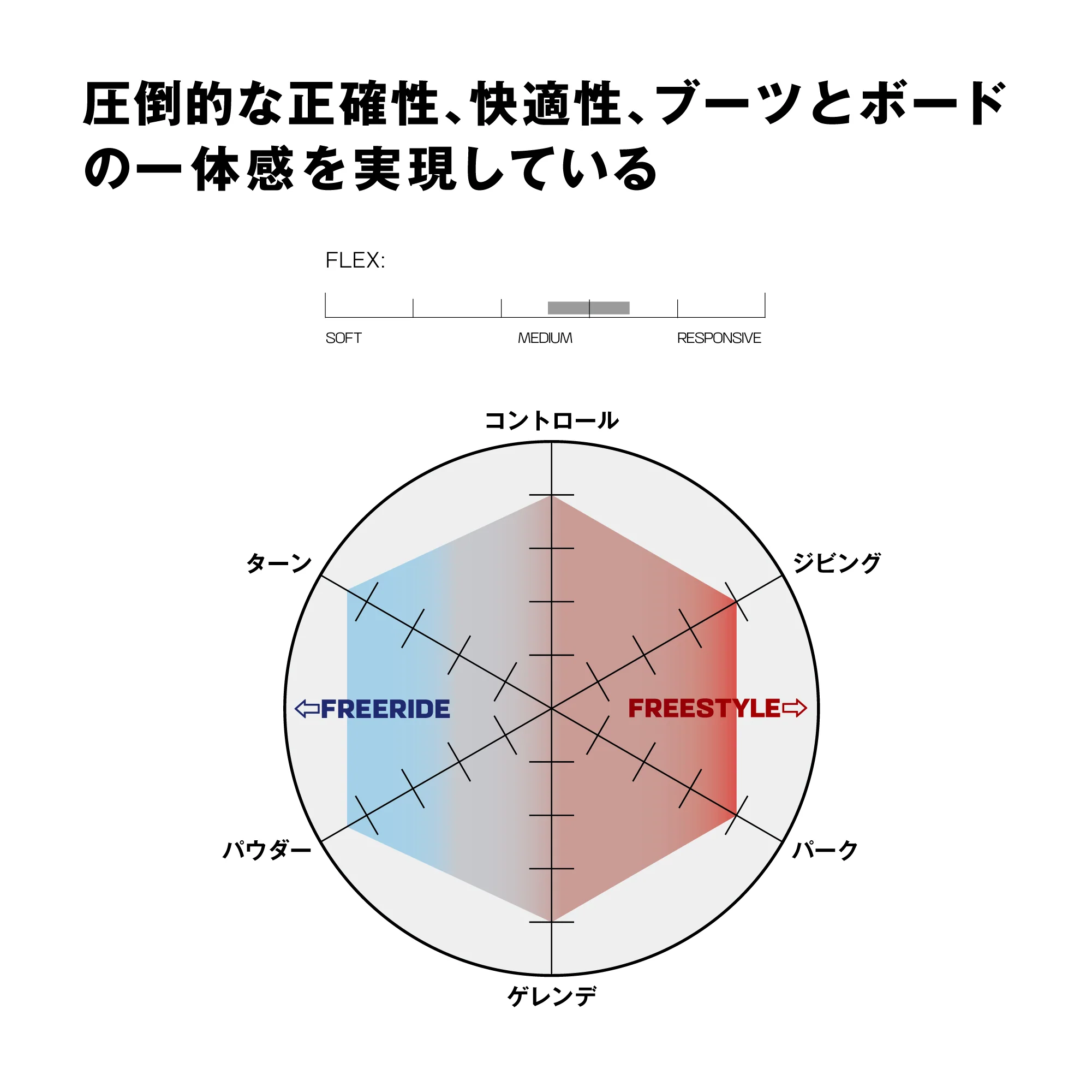 HOLOGRAM - Image 9