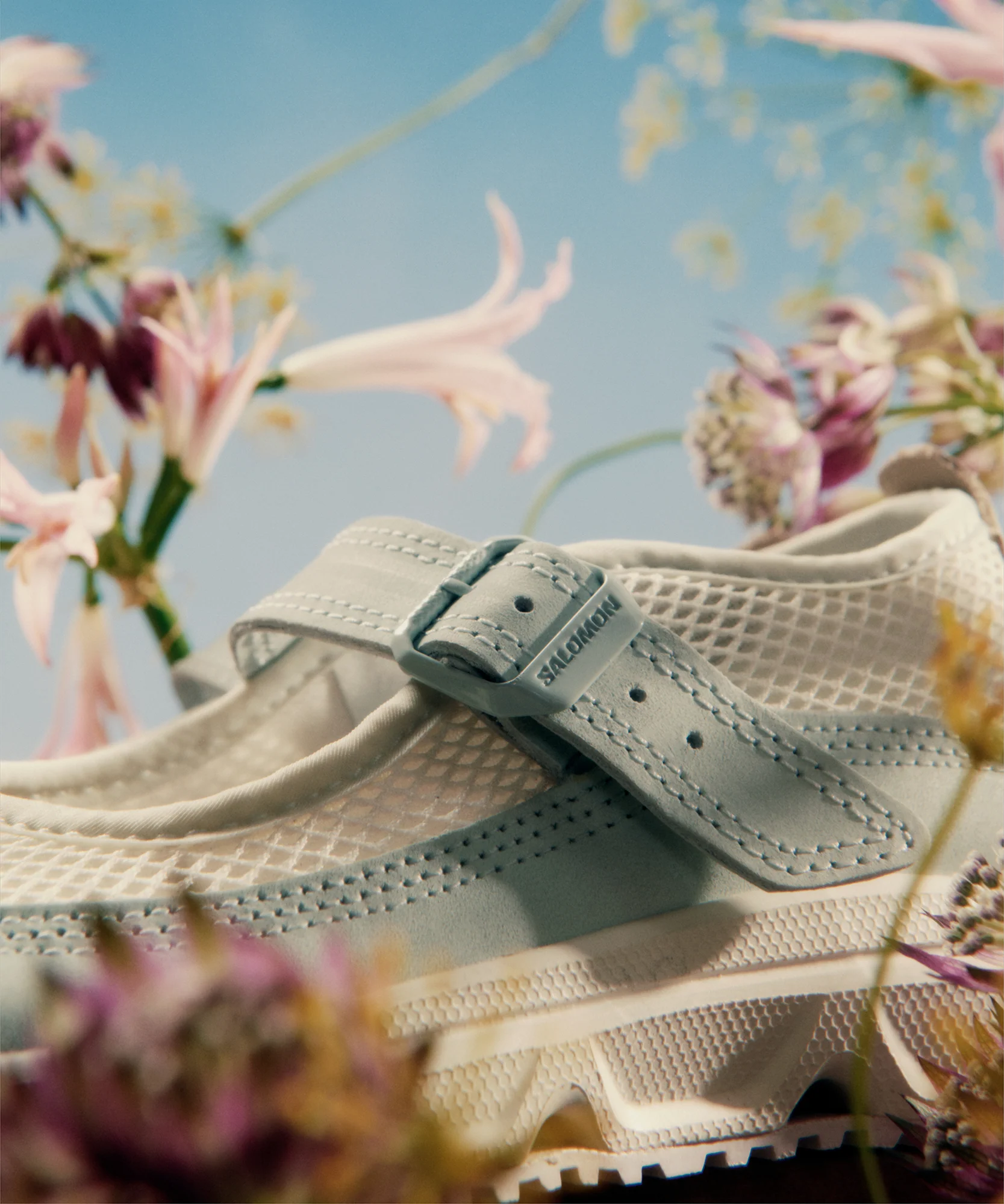 RX MARIE-JEANNE ALPEN BLOSSOM - Image 10