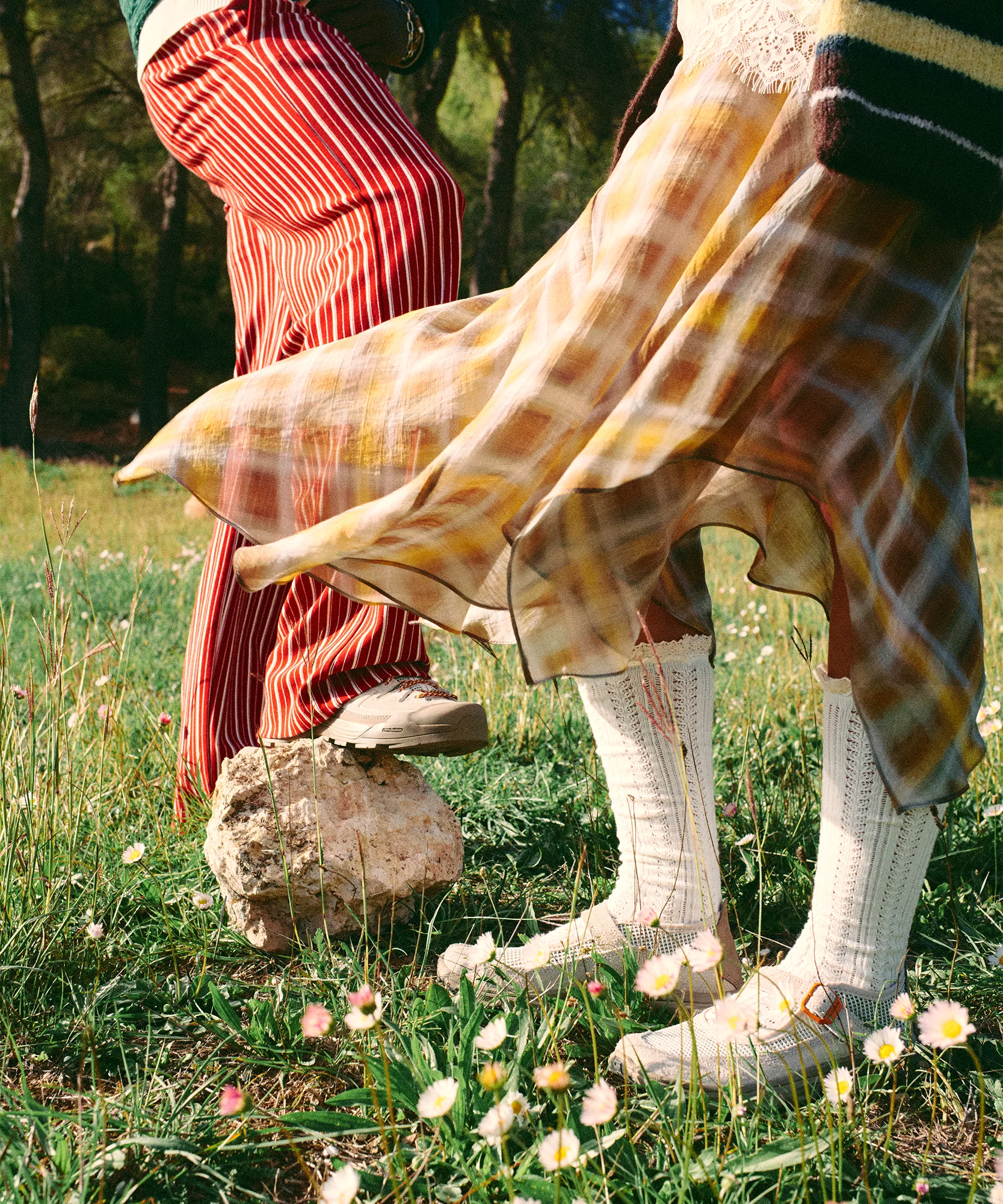 RX MARIE-JEANNE SUMMER - Image 3