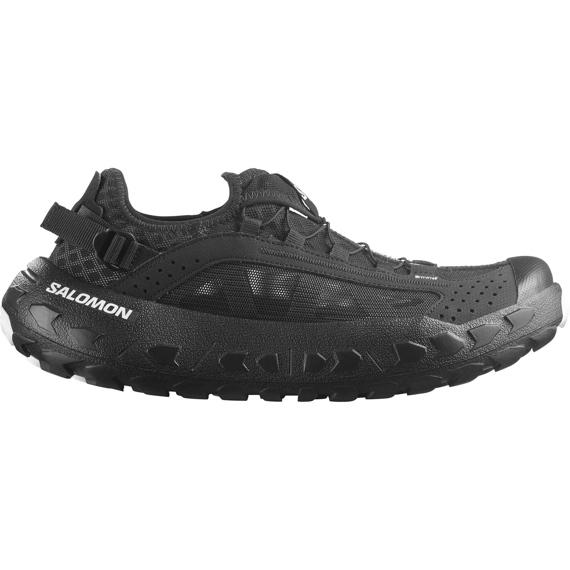 SOLAMPHIBIAN