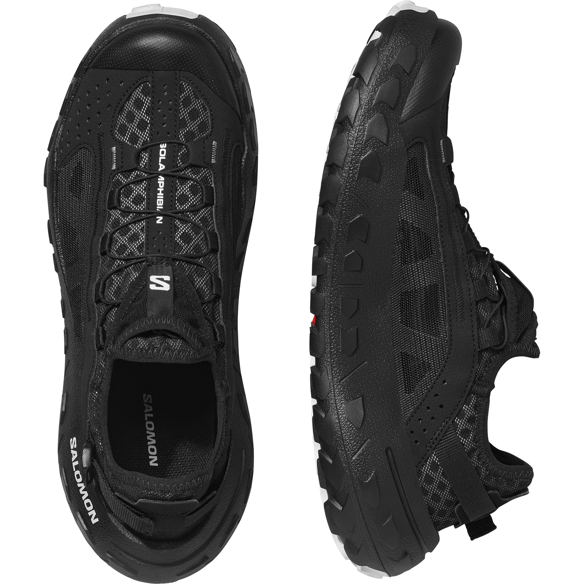 SOLAMPHIBIAN - Image 2