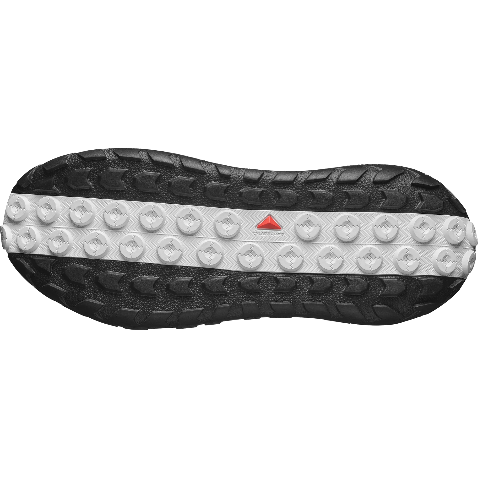SOLAMPHIBIAN - Image 3