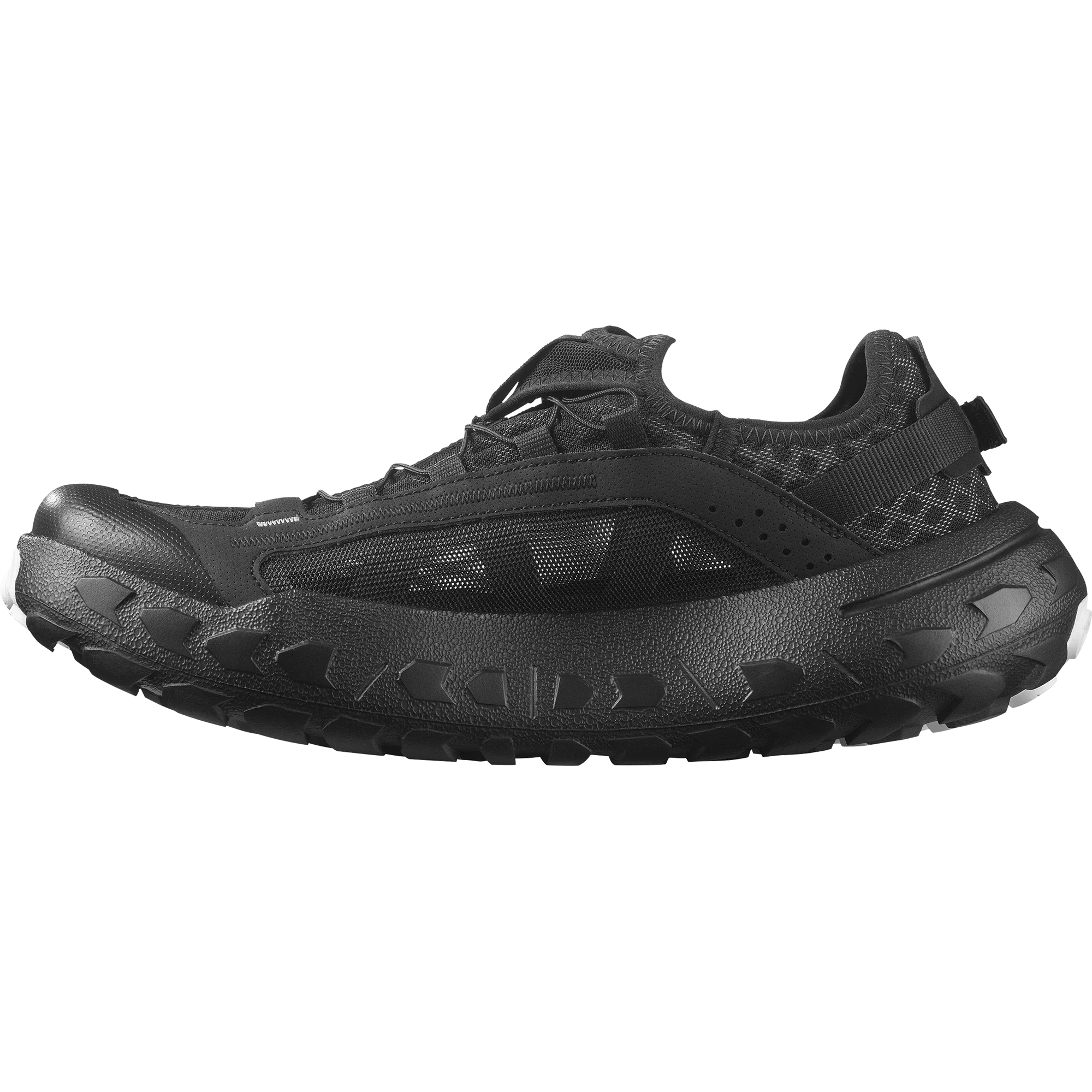 SOLAMPHIBIAN - Image 5