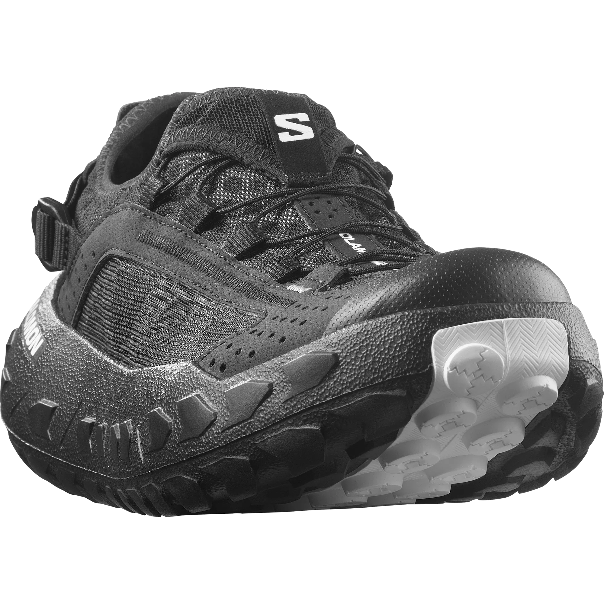 SOLAMPHIBIAN - Image 6
