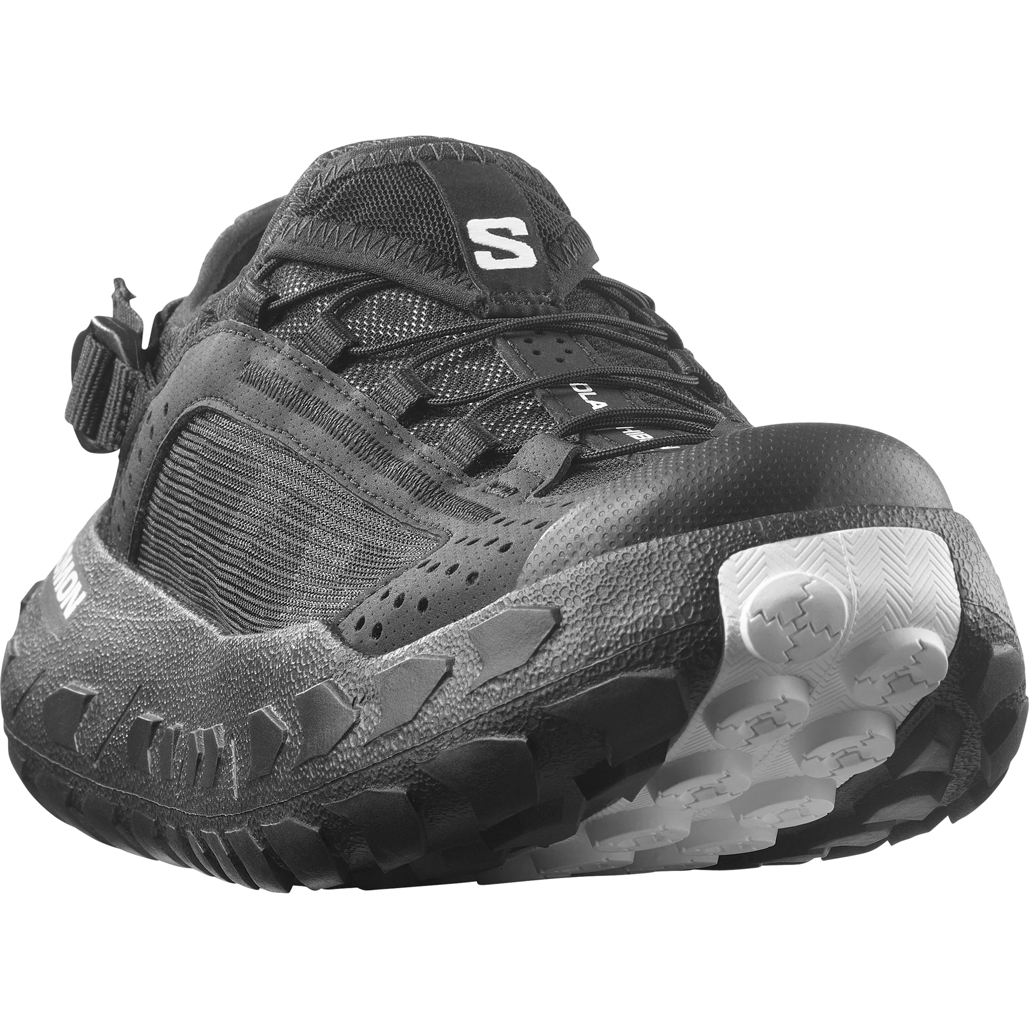 SOLAMPHIBIAN - Image 3