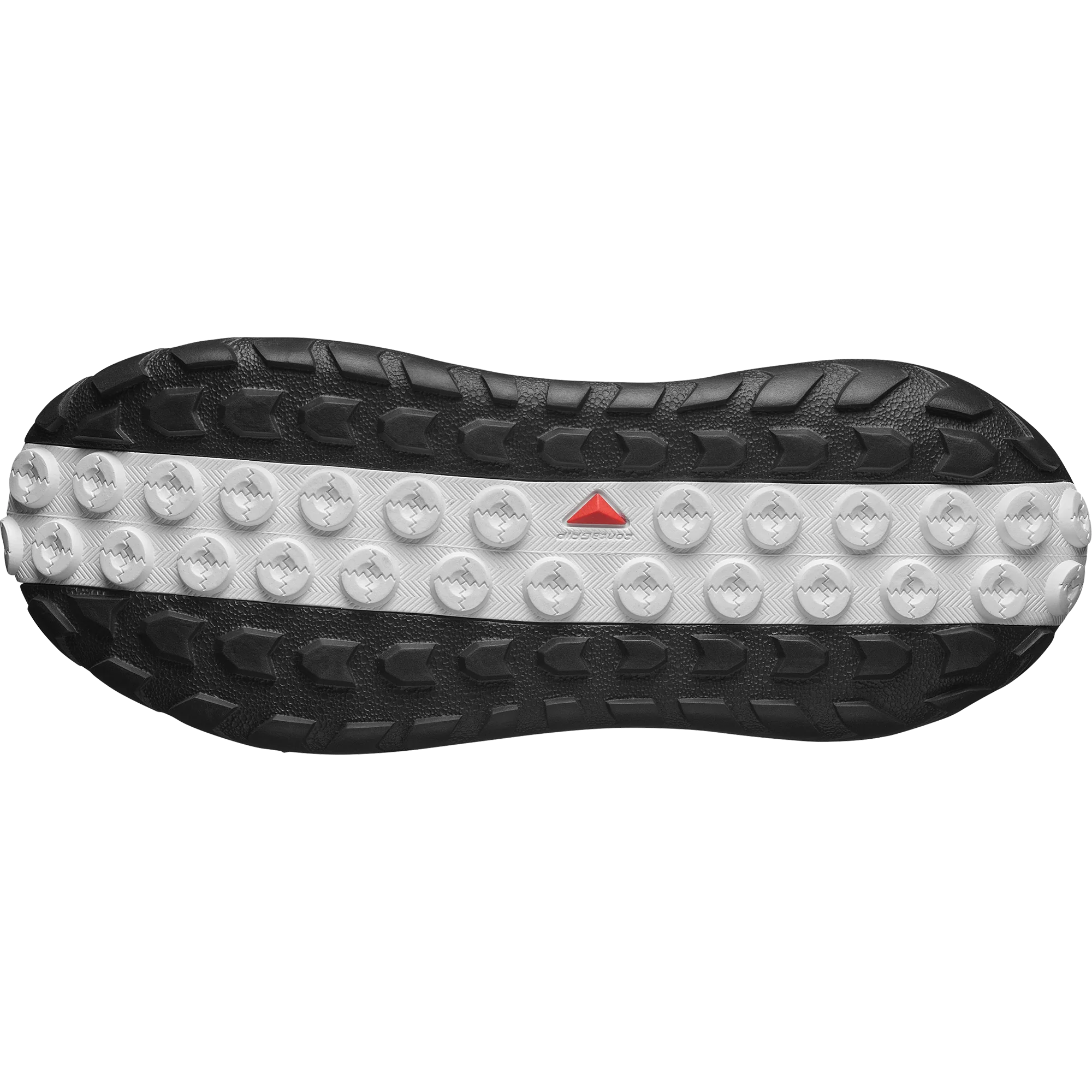 SOLAMPHIBIAN - Image 5