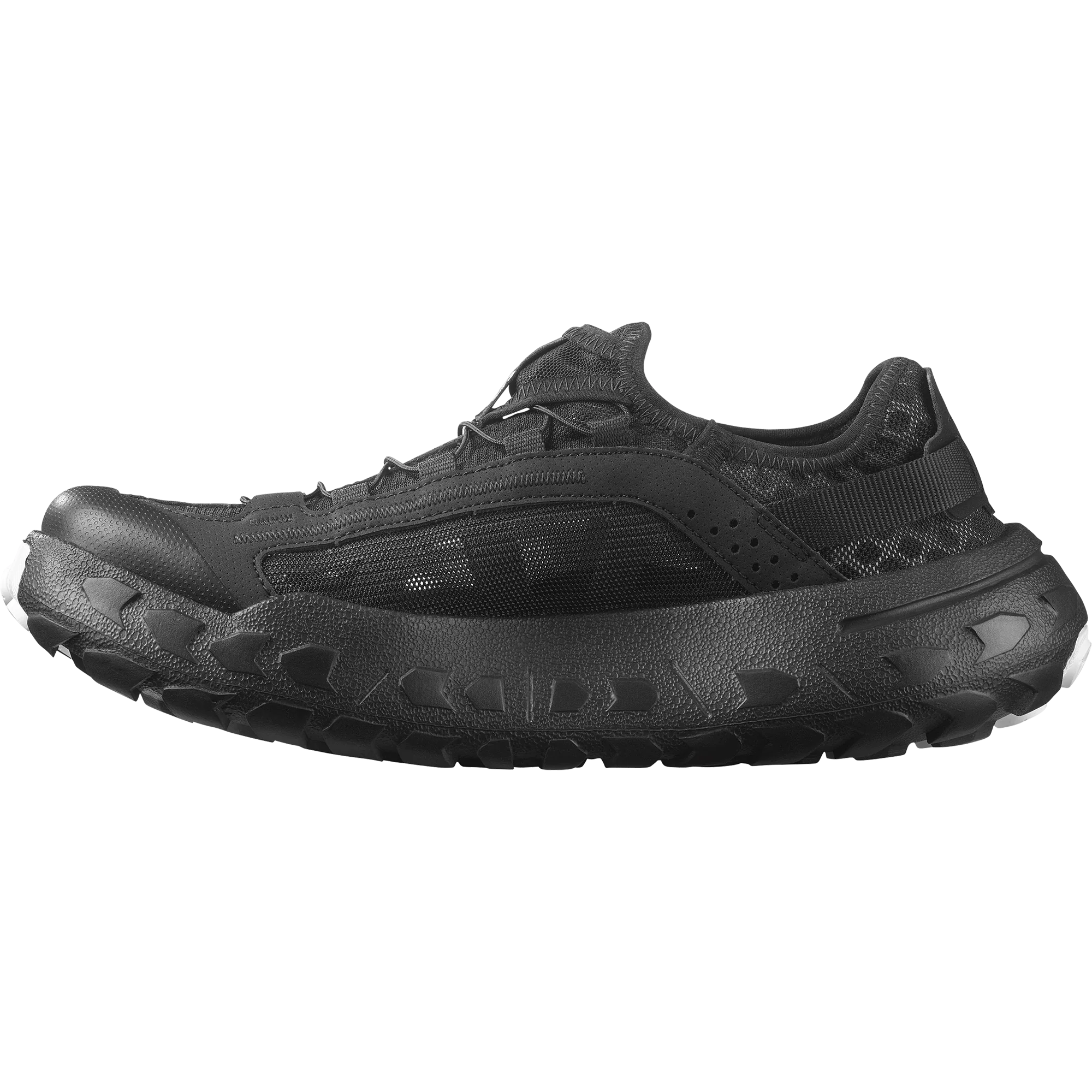 SOLAMPHIBIAN - Image 6