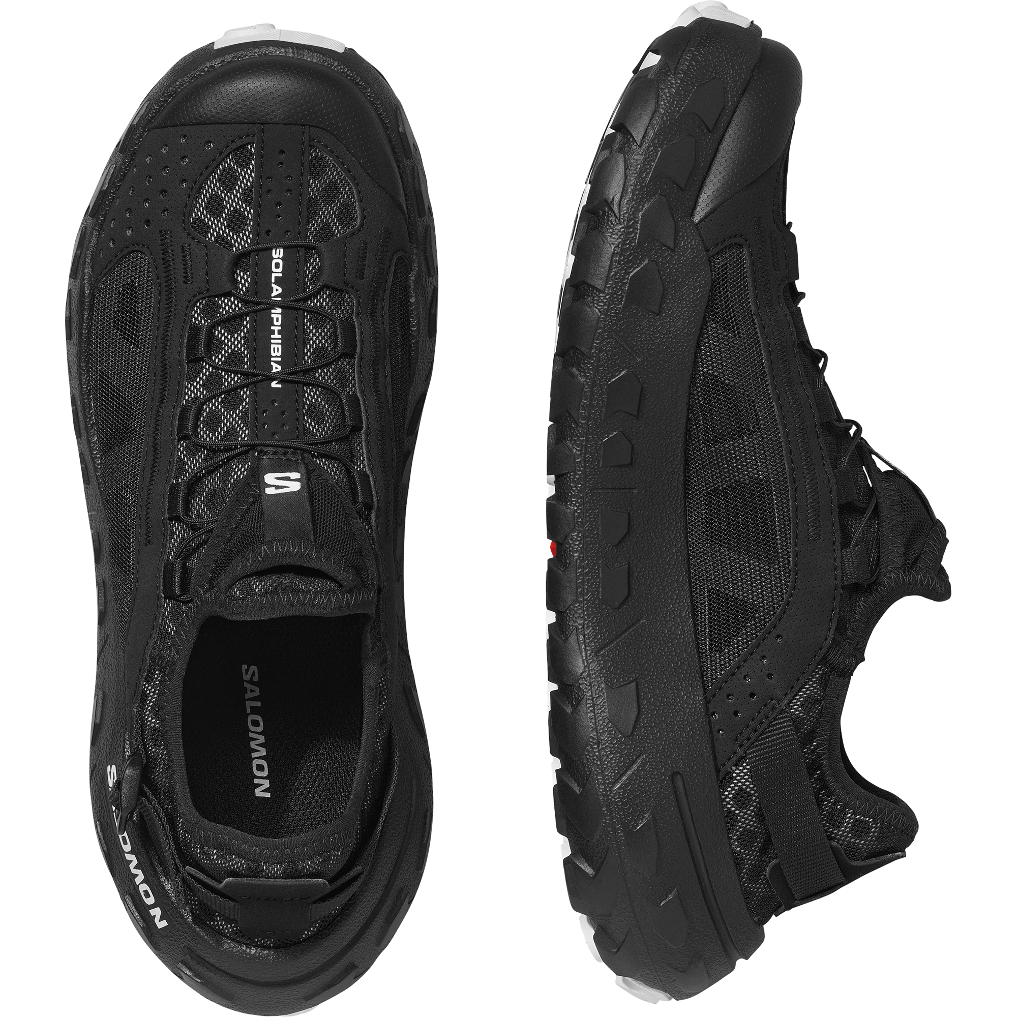 SOLAMPHIBIAN - Image 7