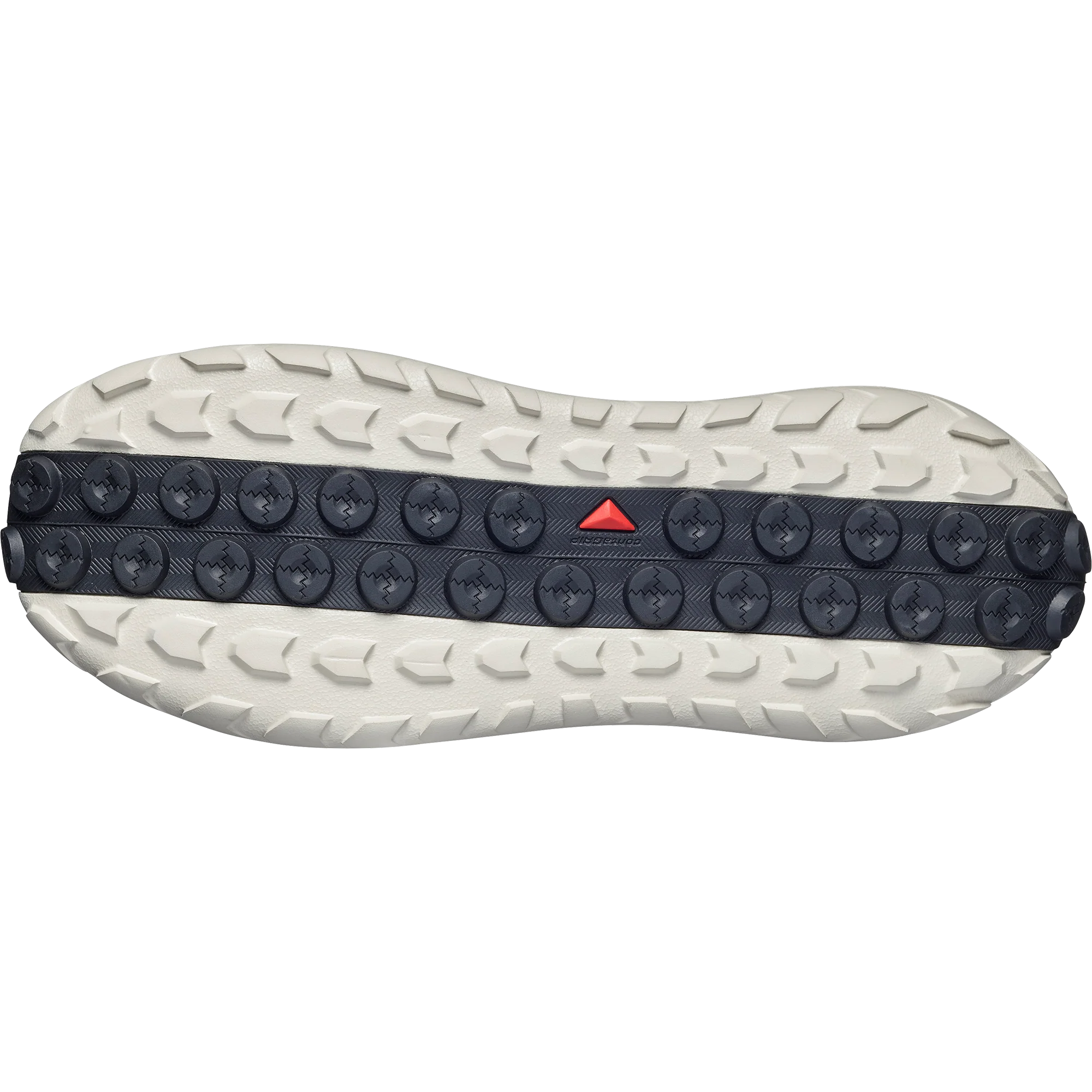 SOLAMPHIBIAN - Image 5