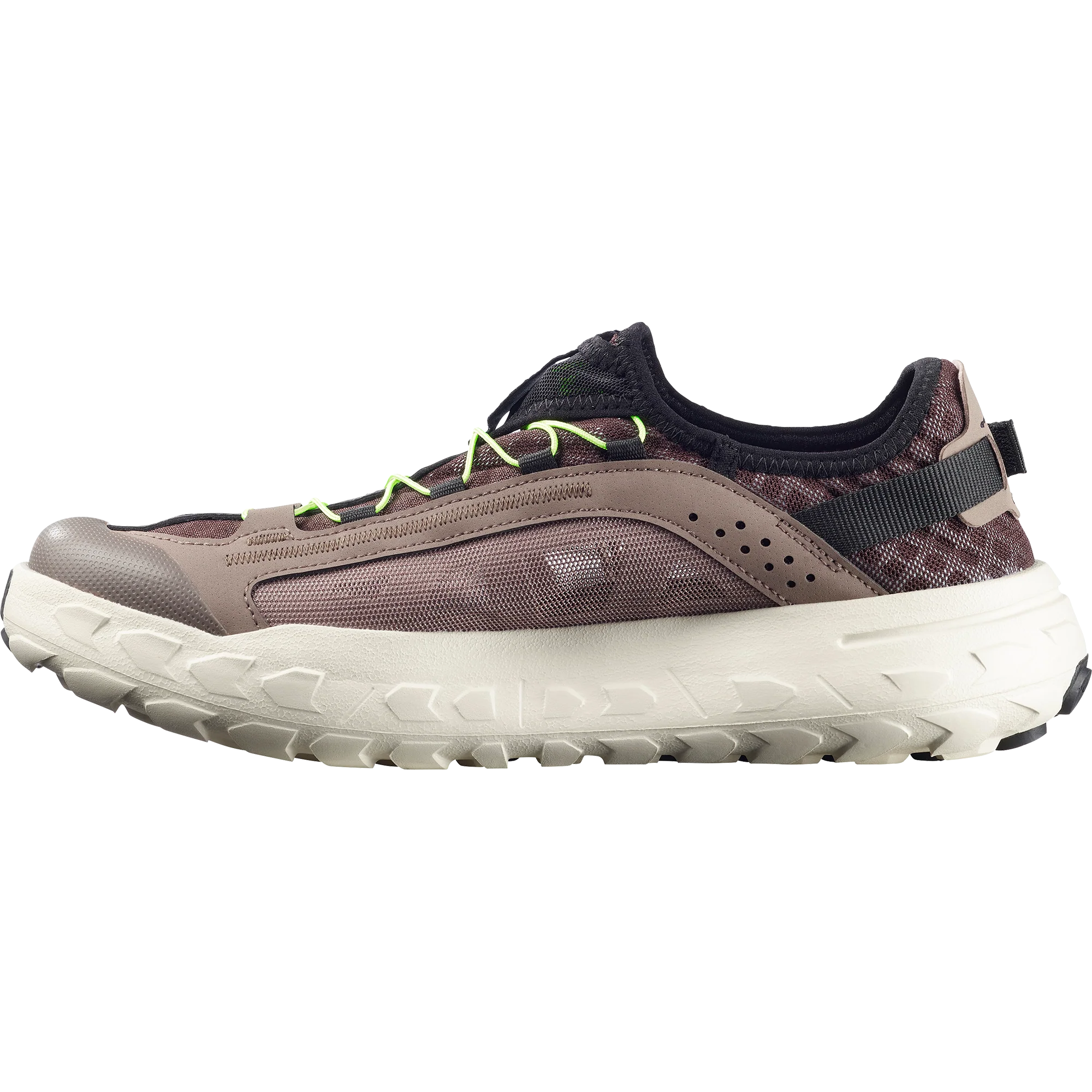 SOLAMPHIBIAN - Image 6