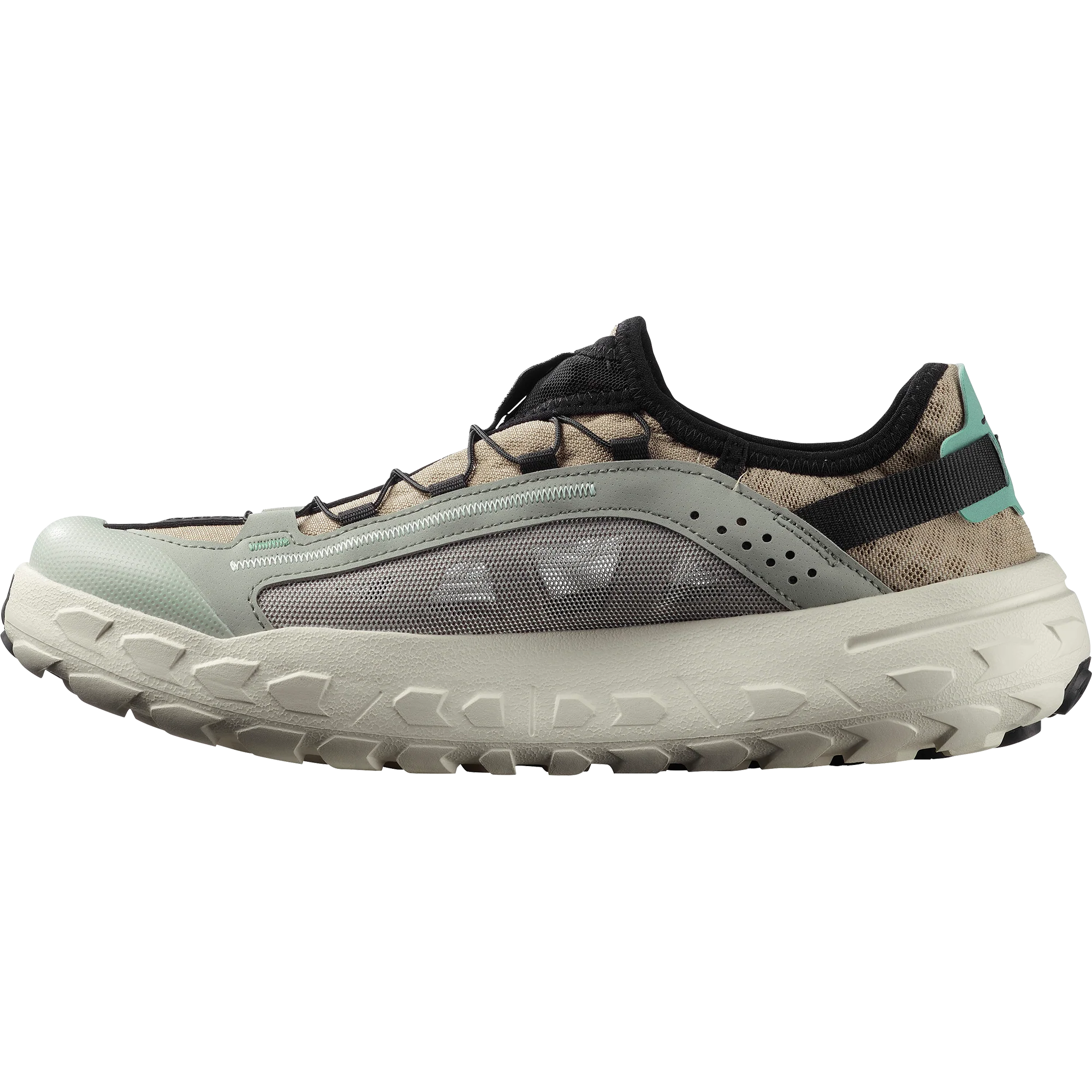 SOLAMPHIBIAN - Image 6