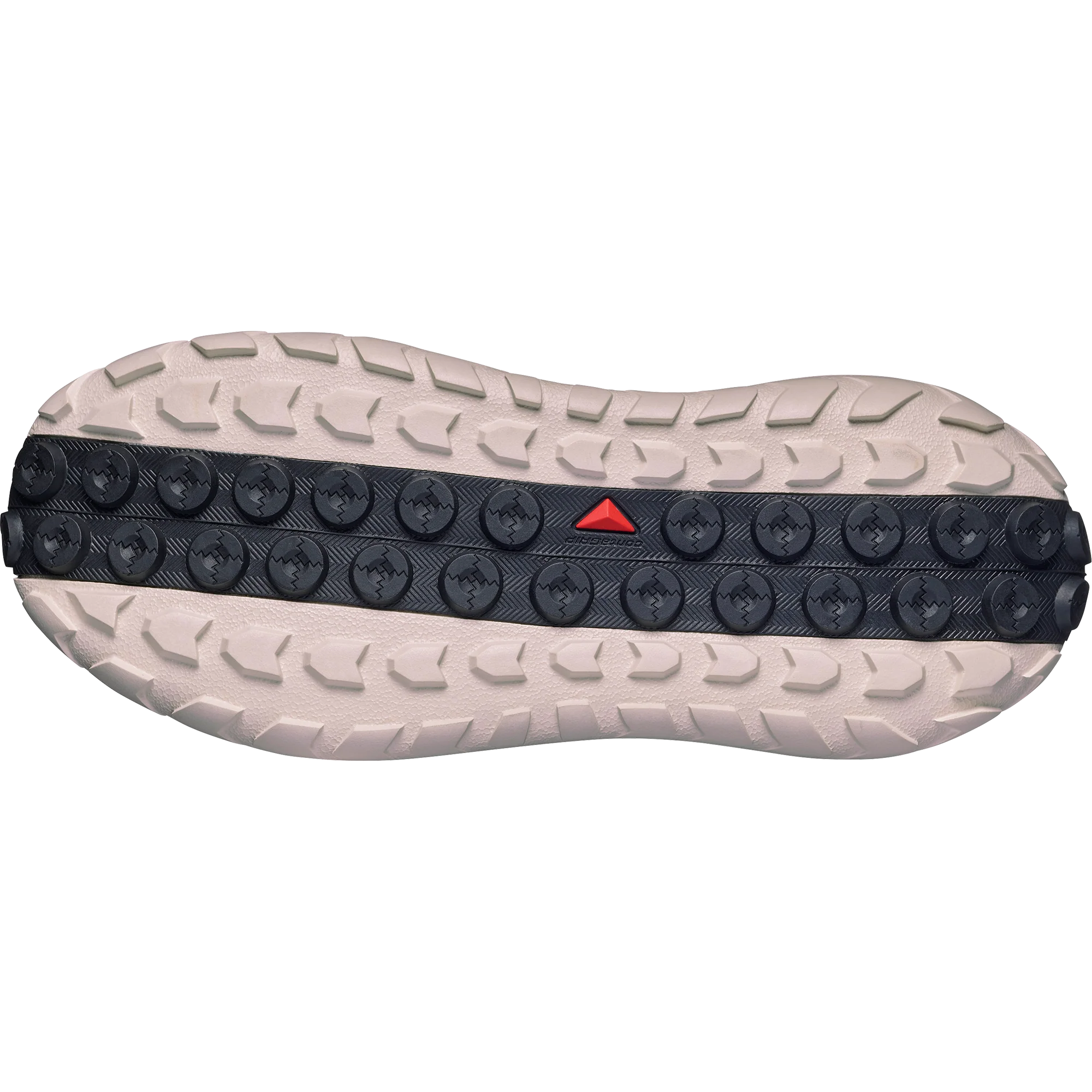 SOLAMPHIBIAN - Image 5