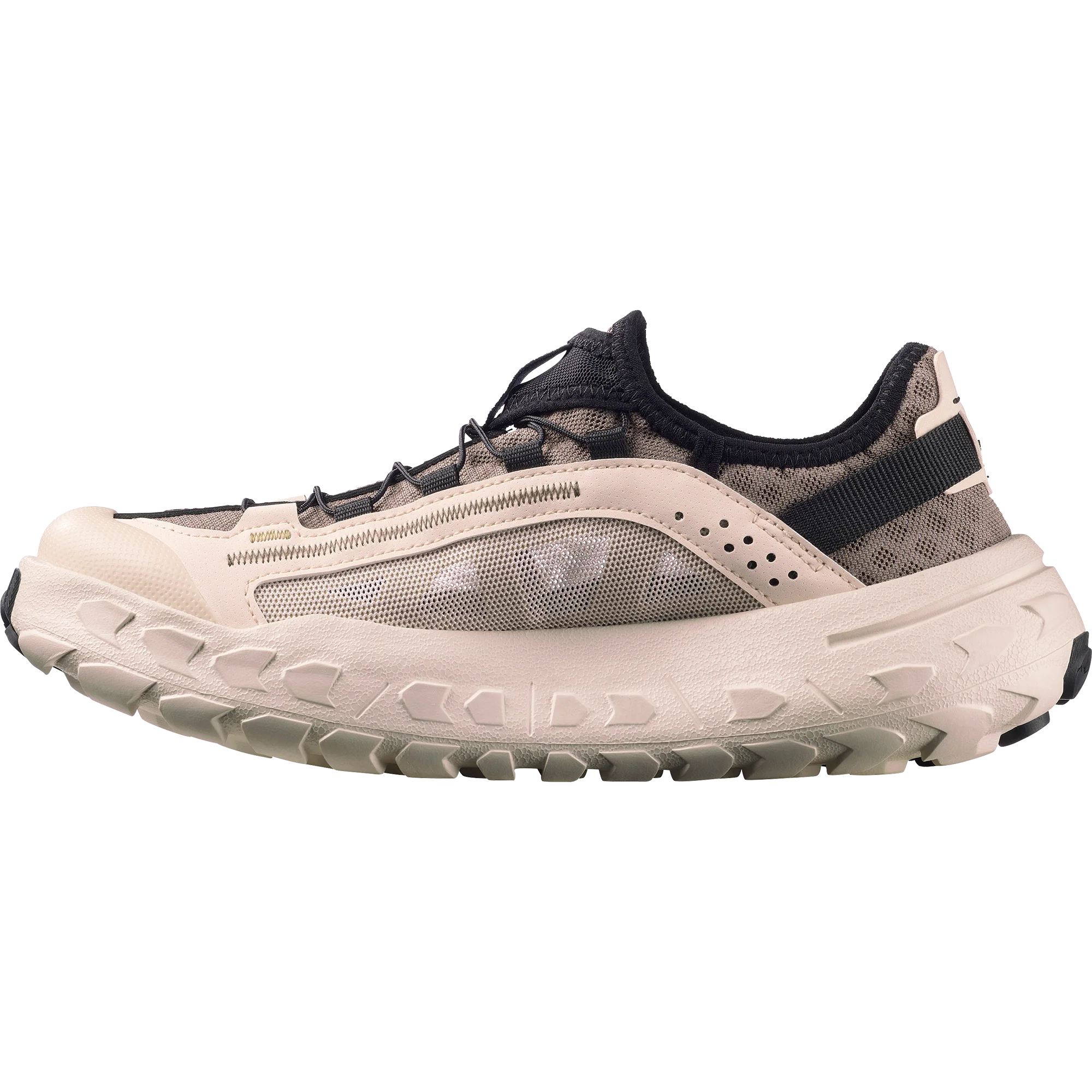 SOLAMPHIBIAN - Image 6