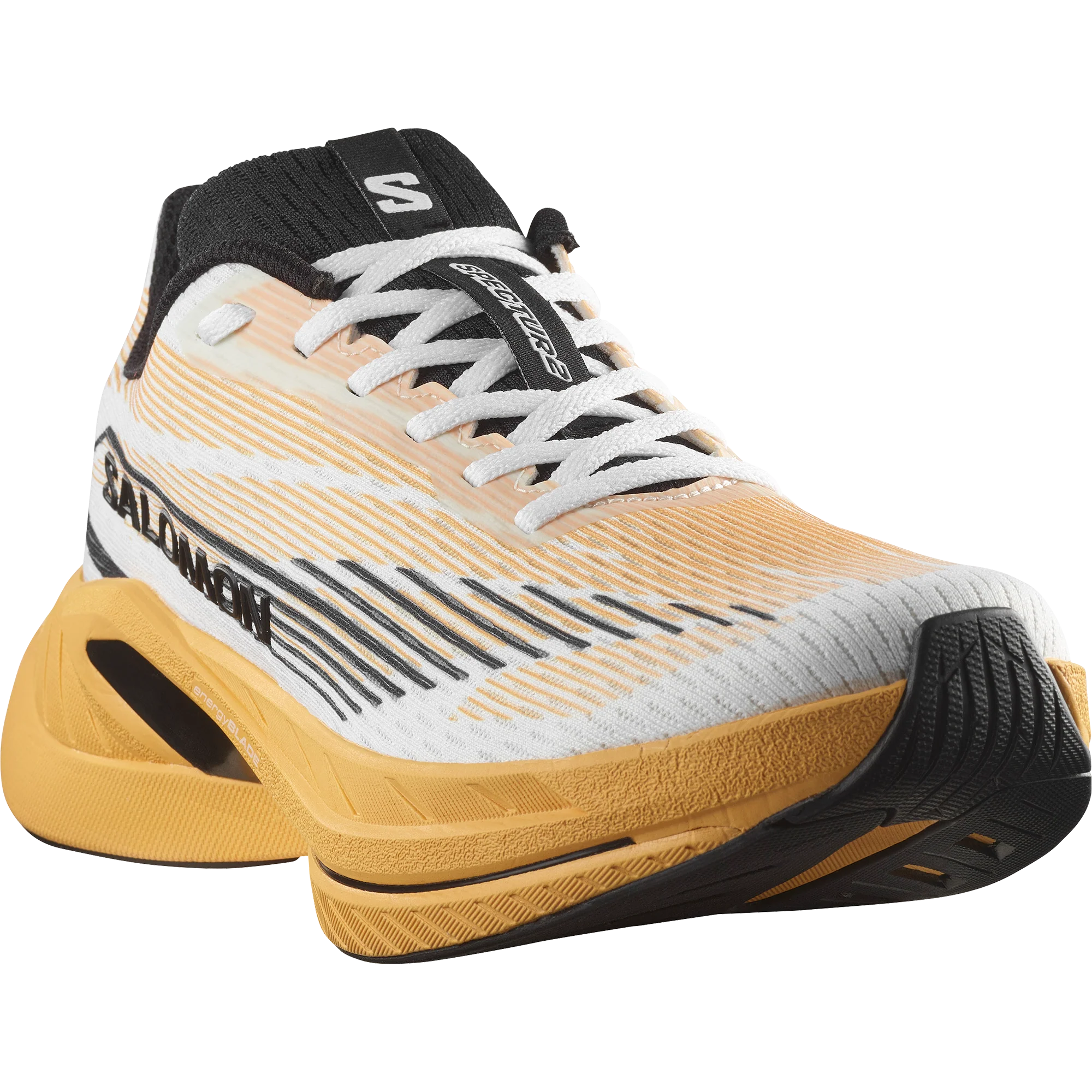 SPECTUR 2 - Image 2