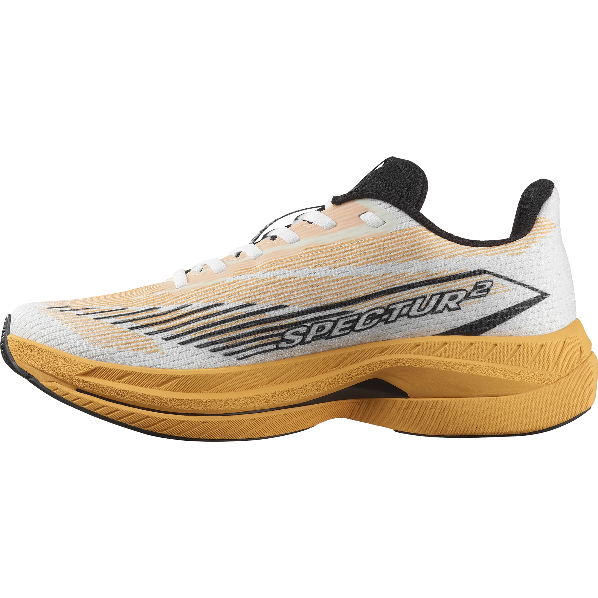 SPECTUR 2 - Image 5