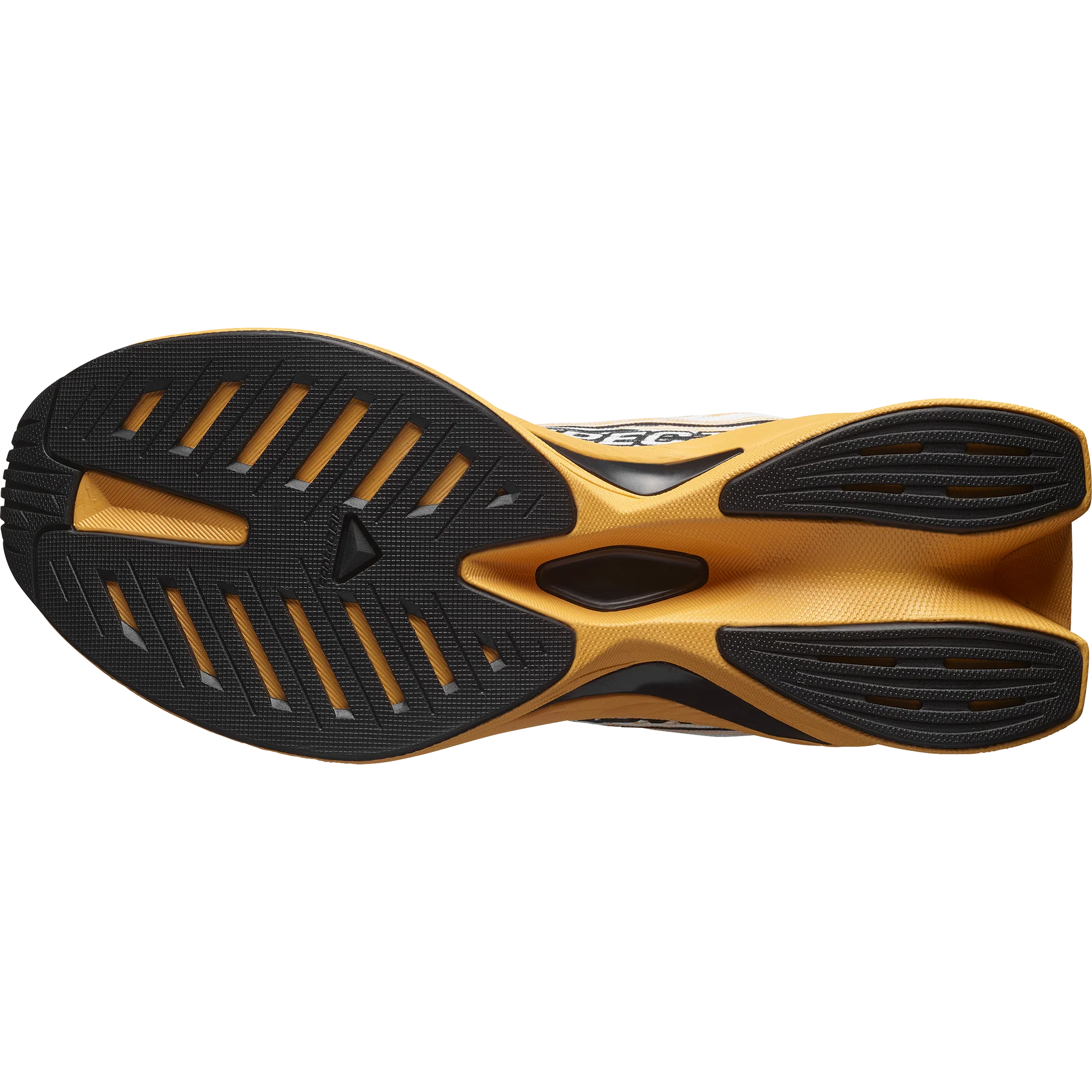 SPECTUR 2 - Image 4