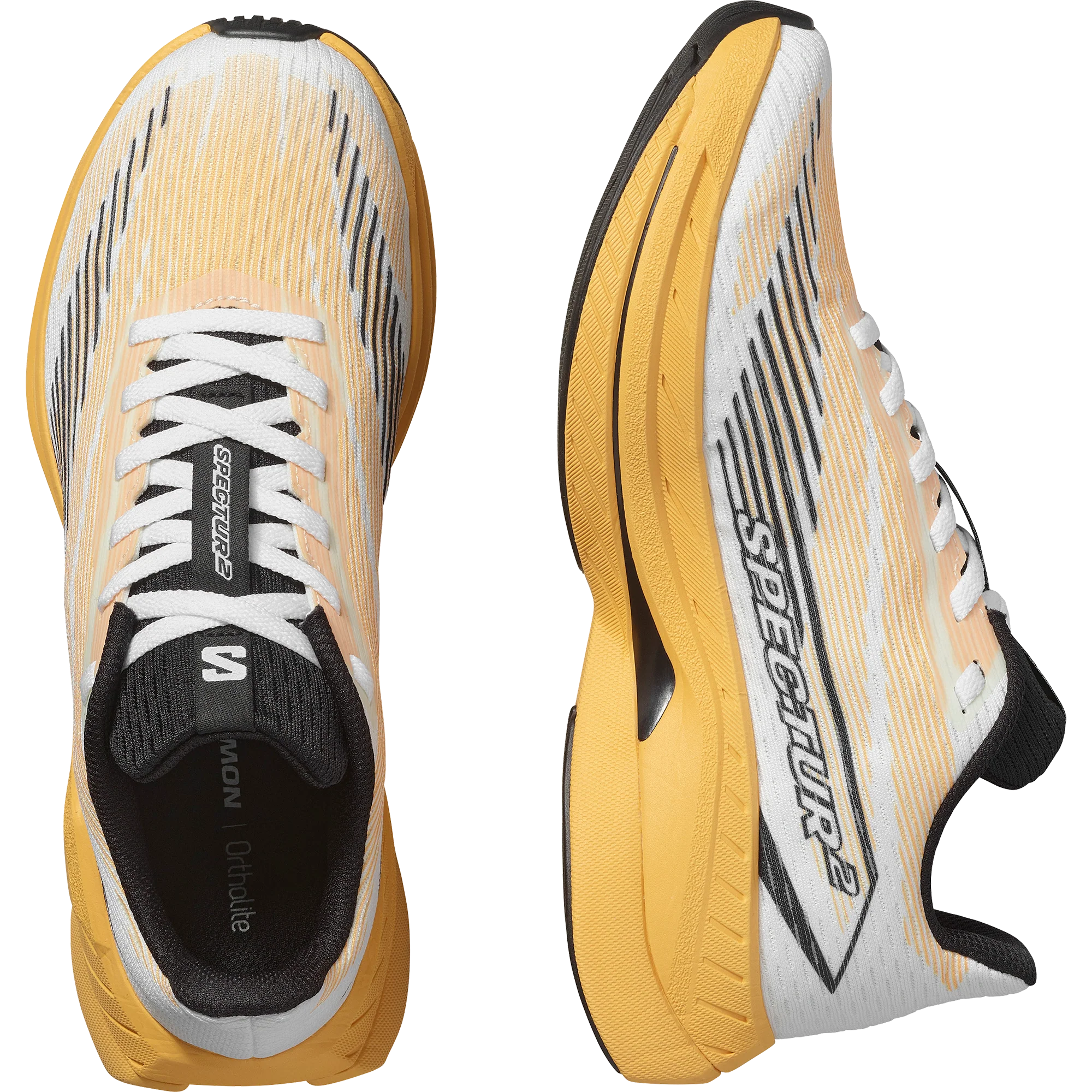 SPECTUR 2 - Image 6