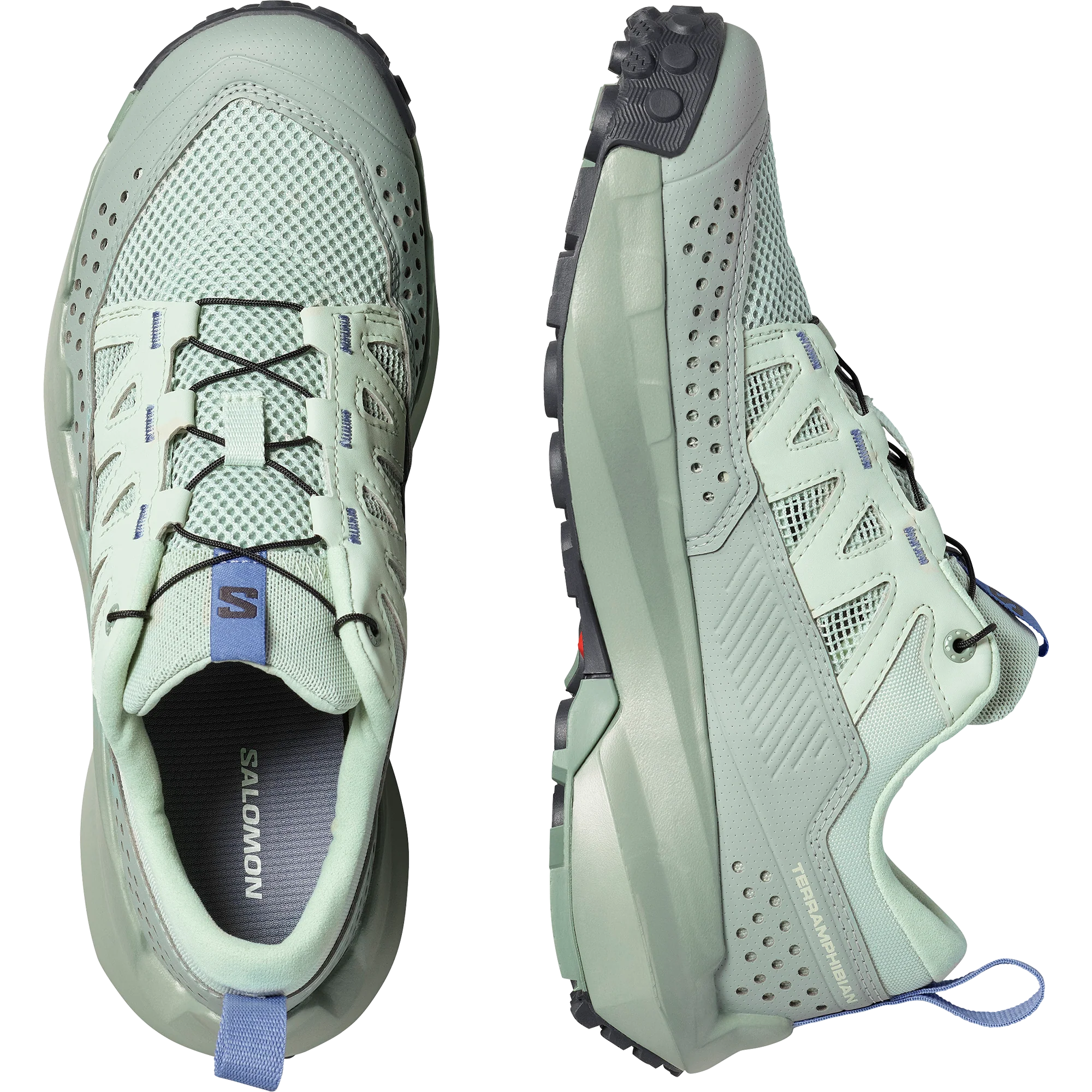TERRAMPHIBIAN - Image 5