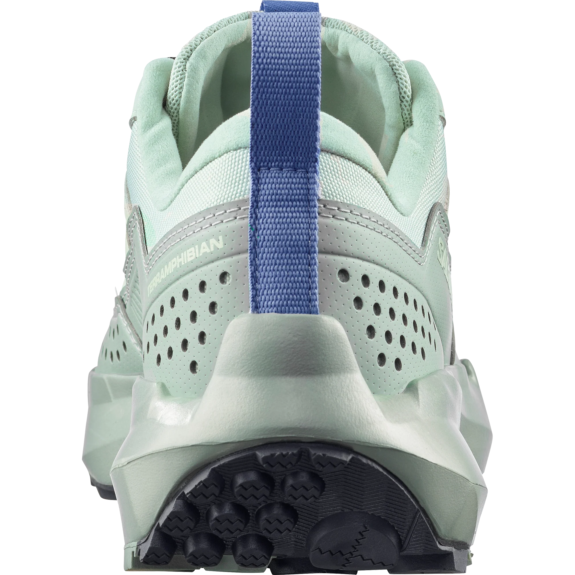 TERRAMPHIBIAN - Image 6