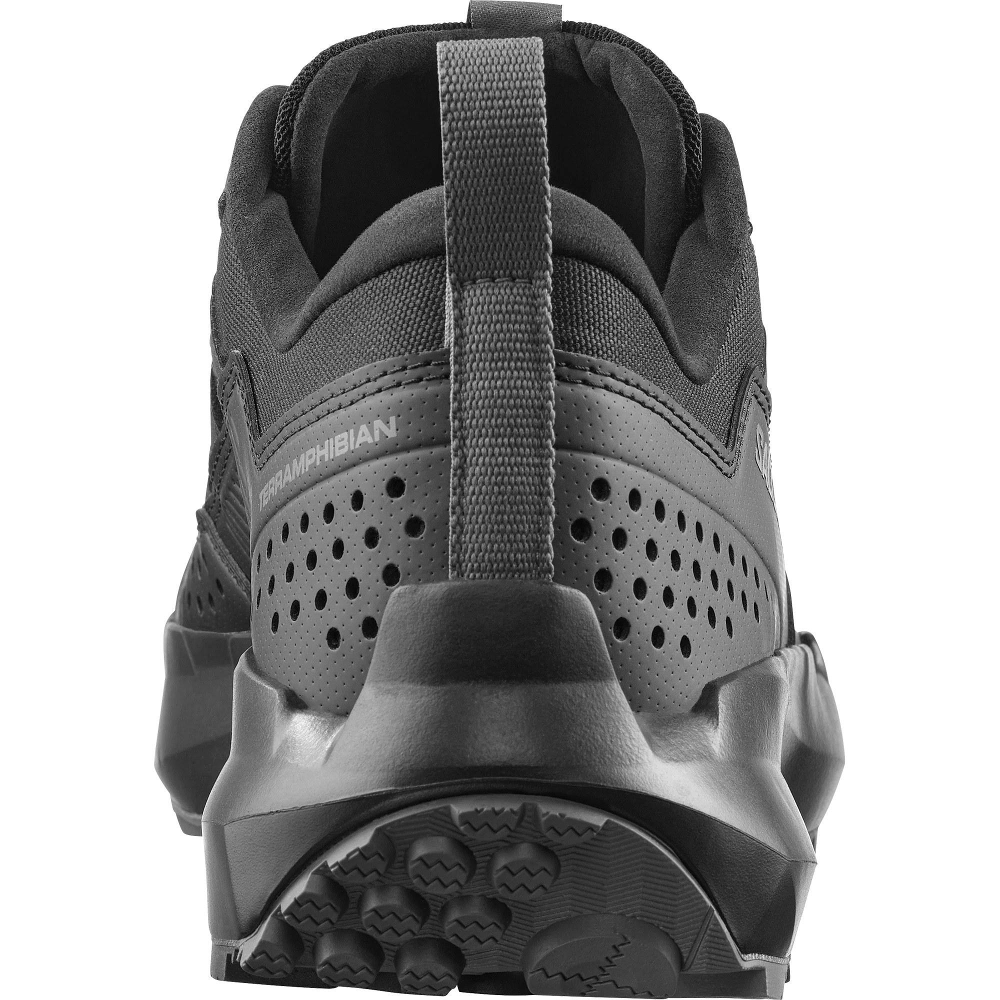 TERRAMPHIBIAN - Image 4