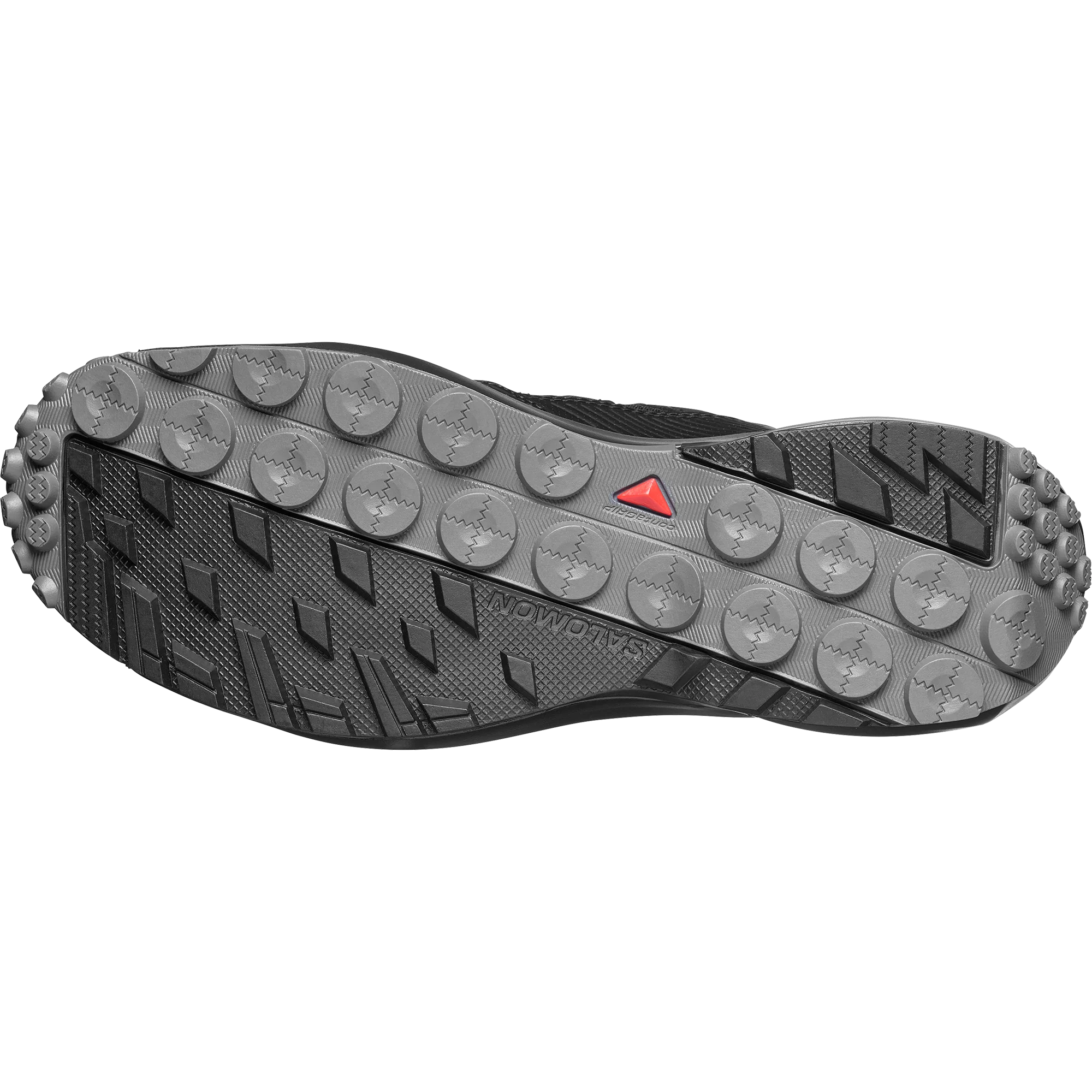 TERRAMPHIBIAN - Image 5