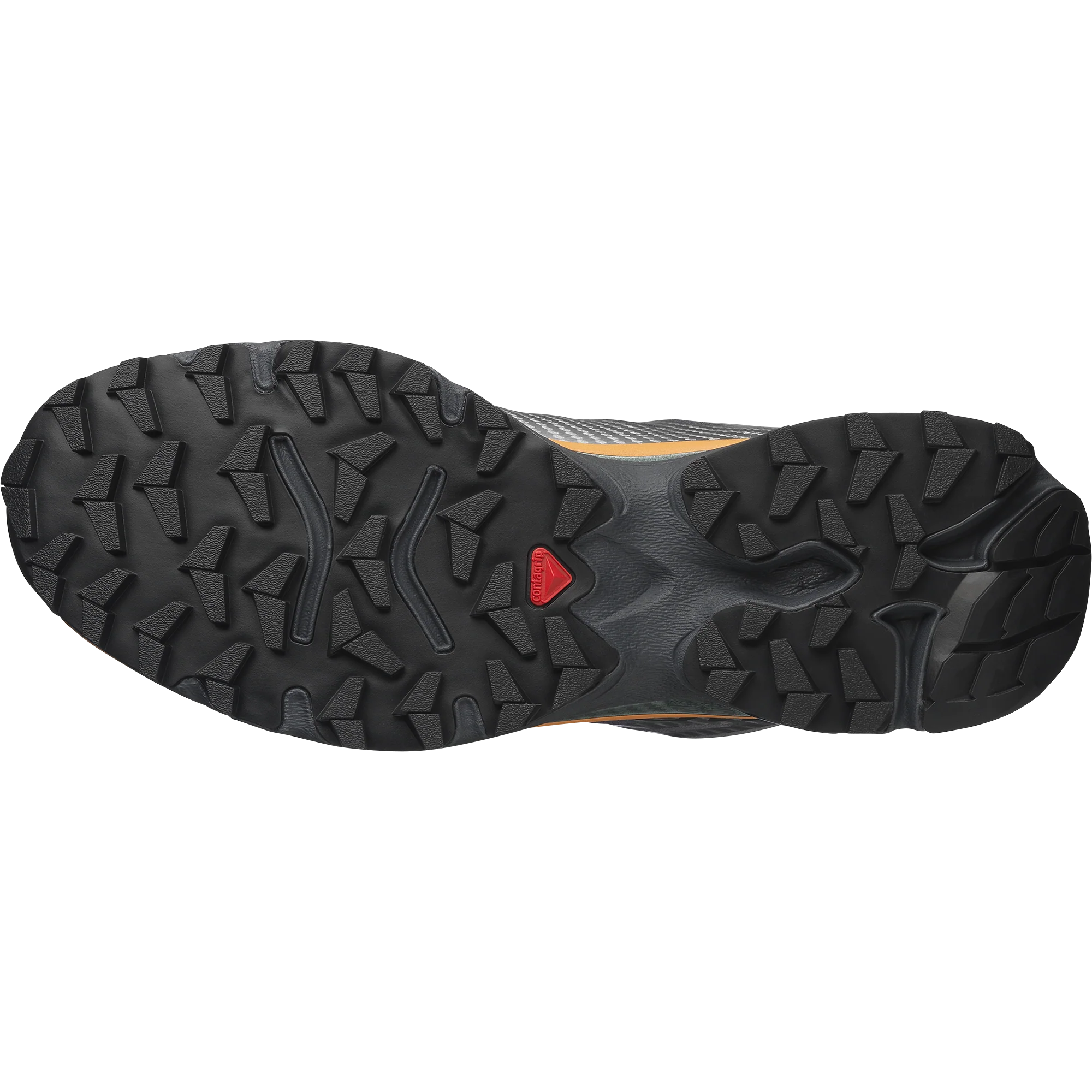 XT-4 OG - Image 2