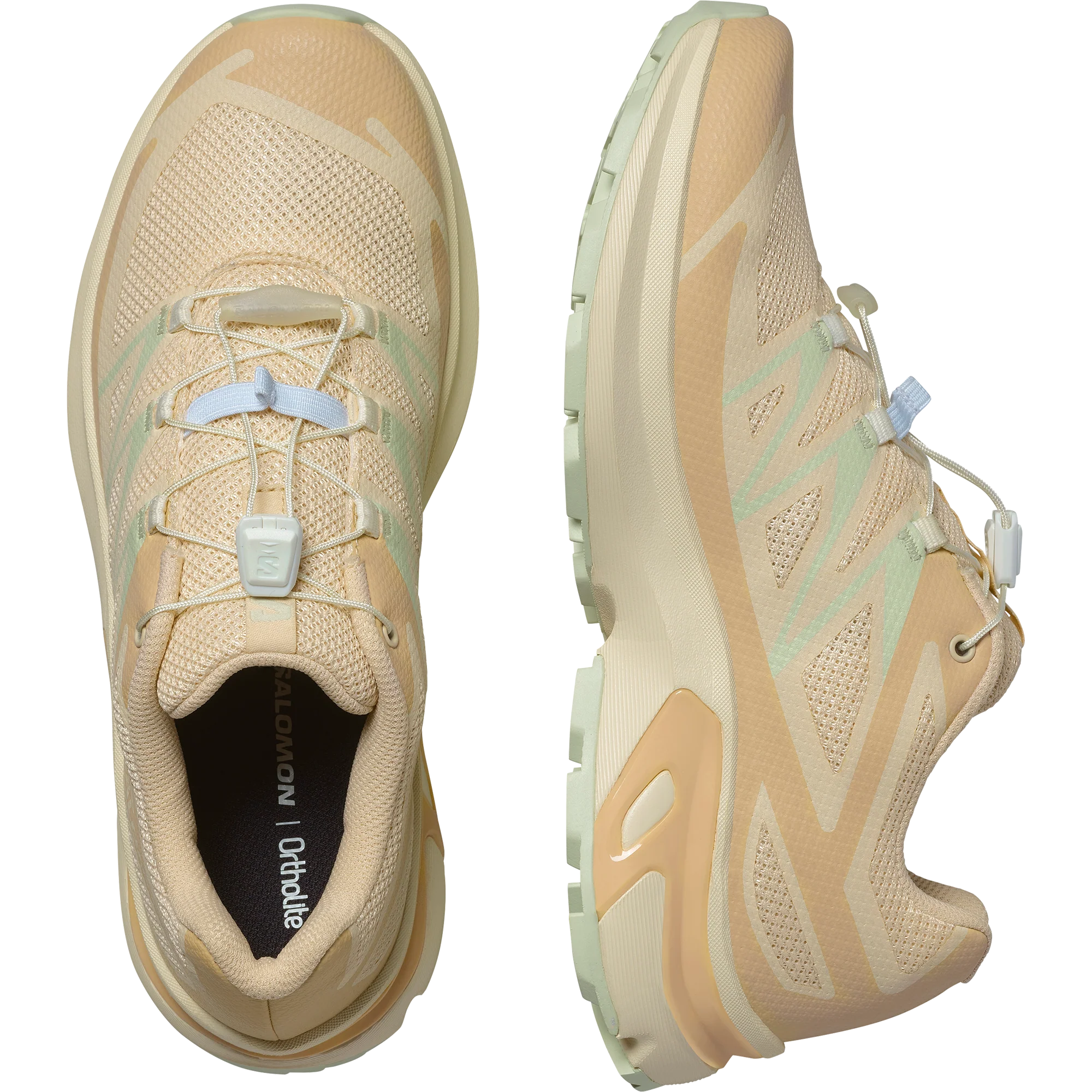 XT-EVR - Image 4