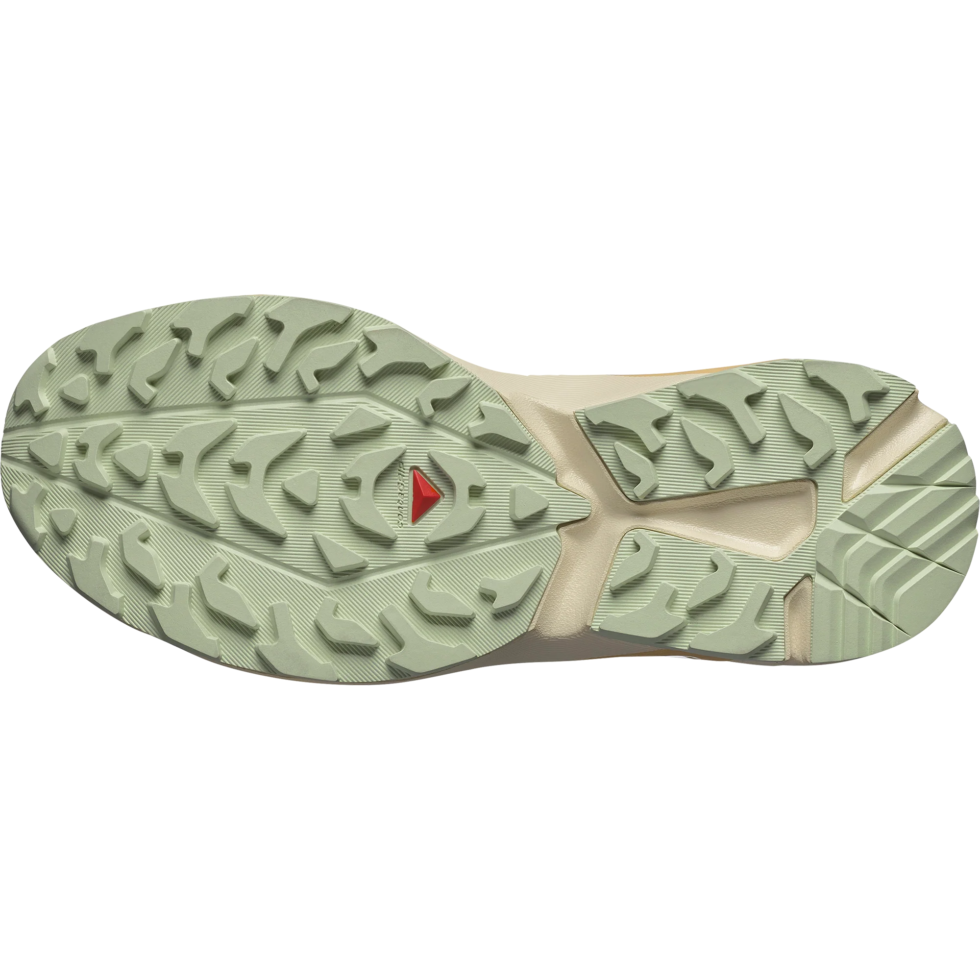 XT-EVR - Image 6