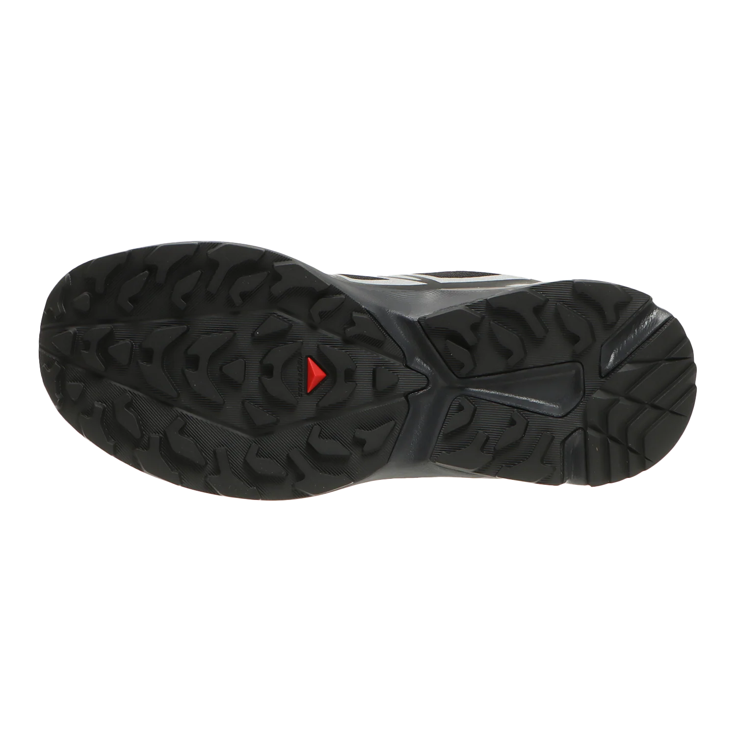 XT-EVR - Image 6