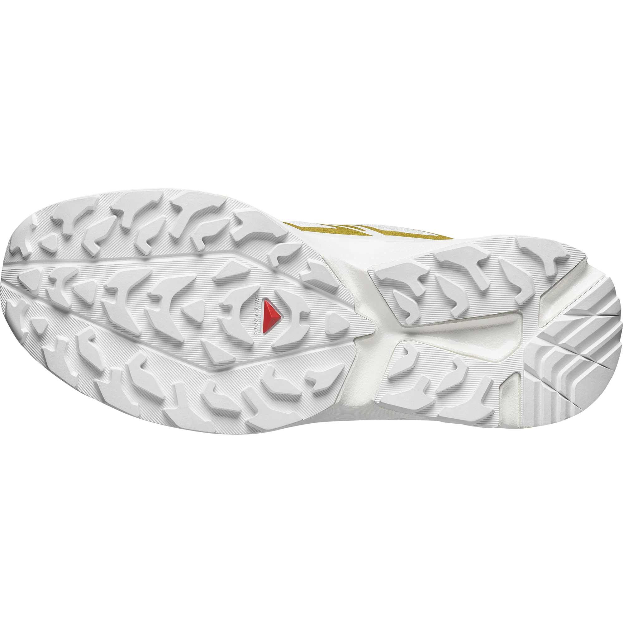 XT-EVR - Image 6