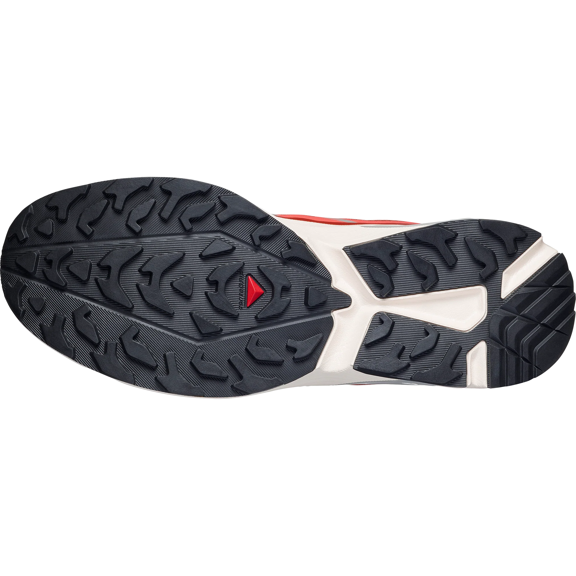 XT-EVR - Image 4