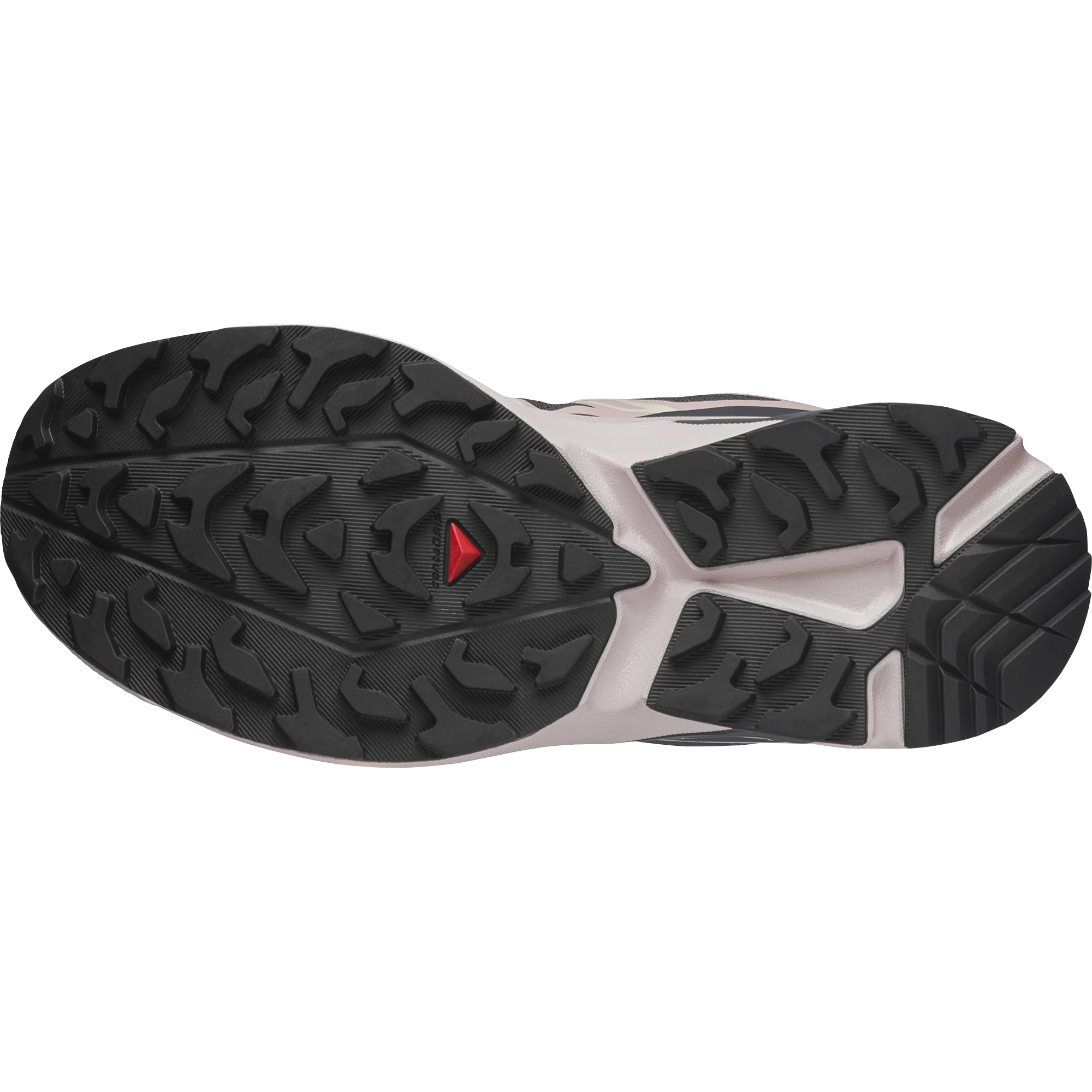 XT-EVR - Image 2