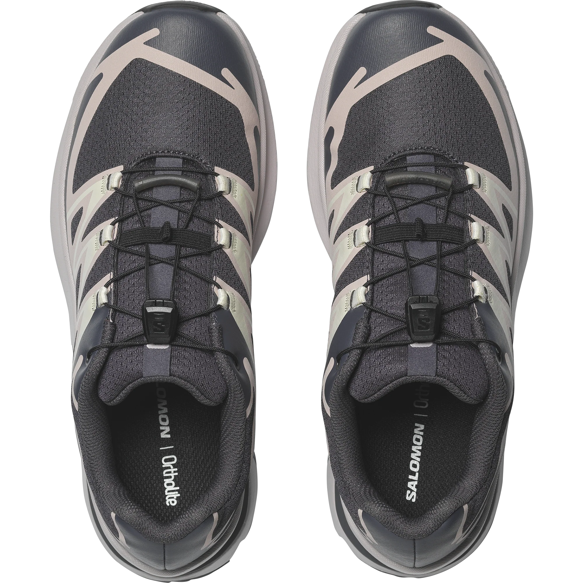 XT-EVR - Image 3