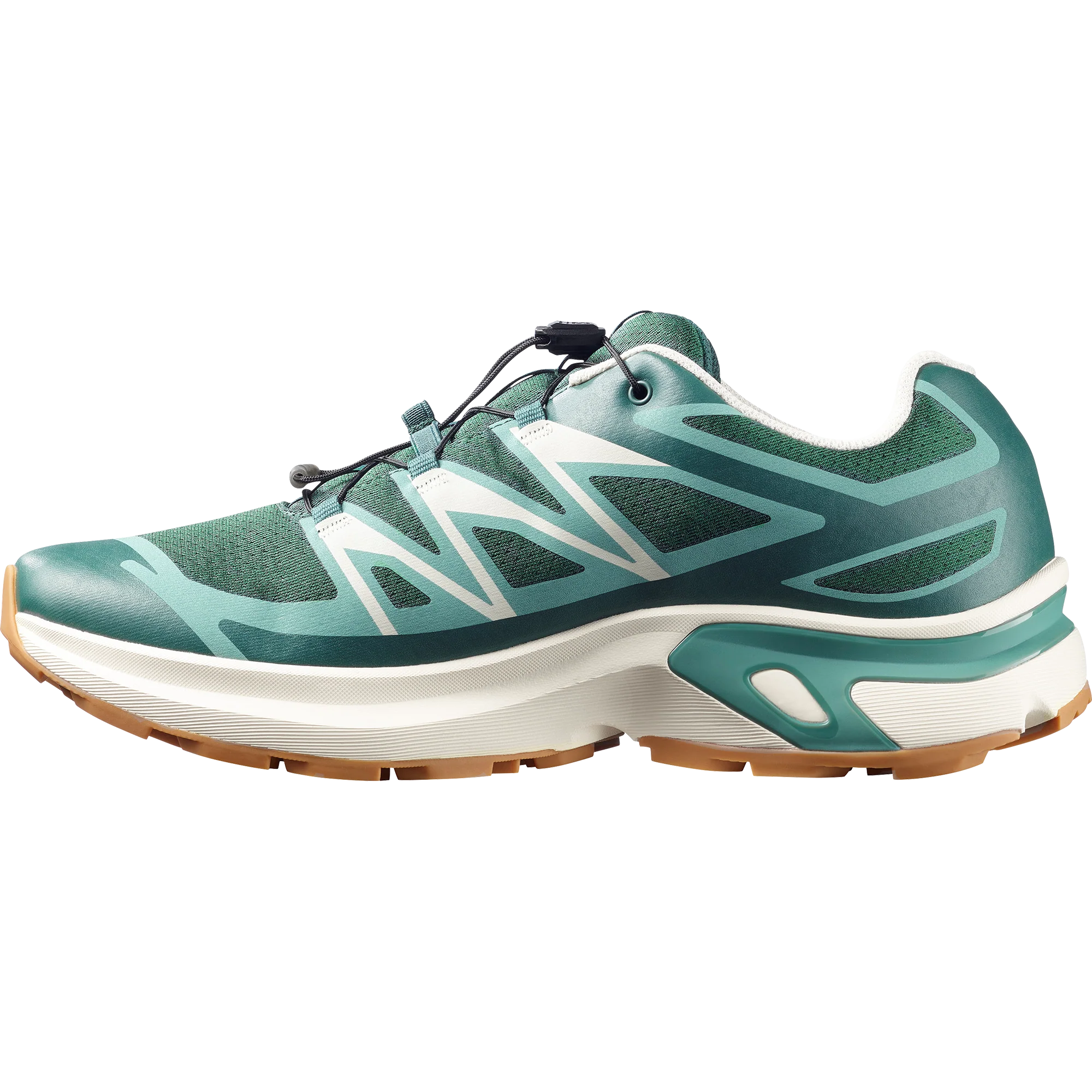 XT-EVR - Image 5