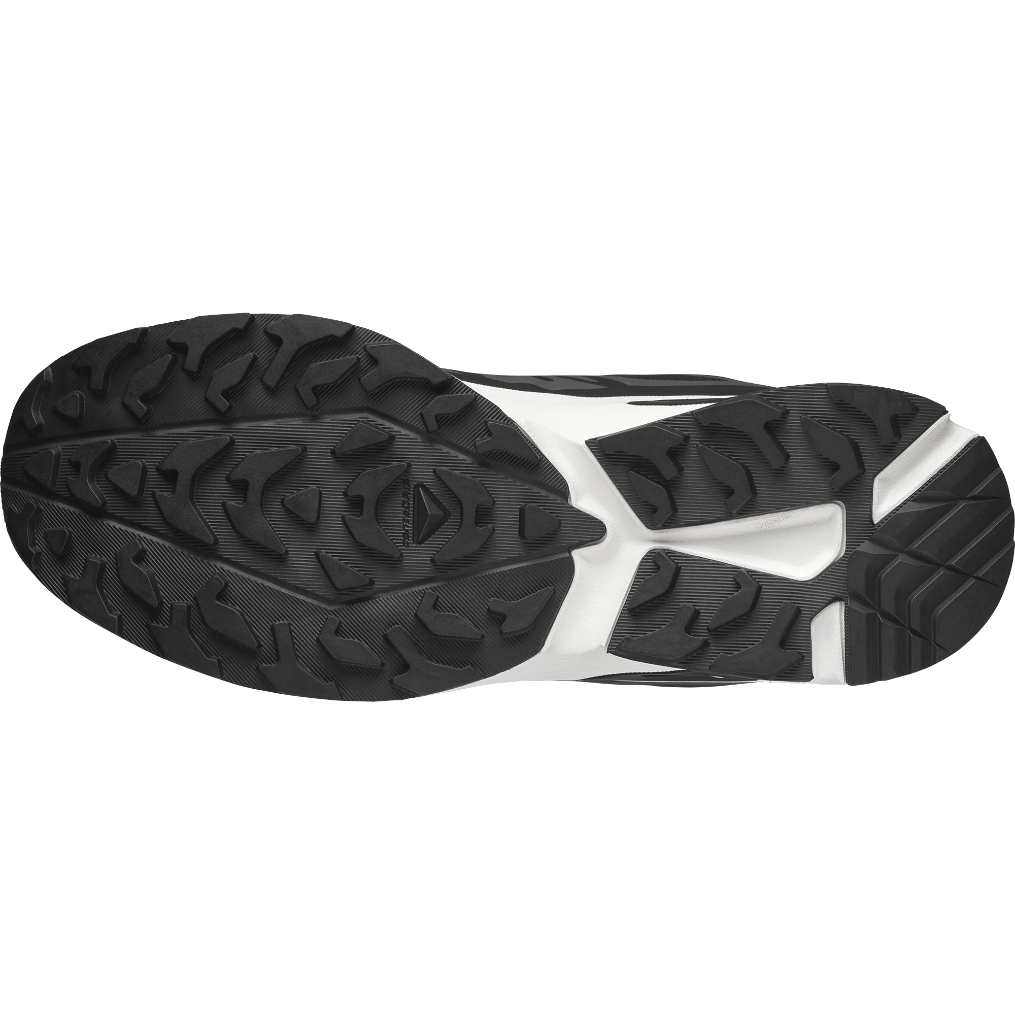 XT-EVR - Image 2