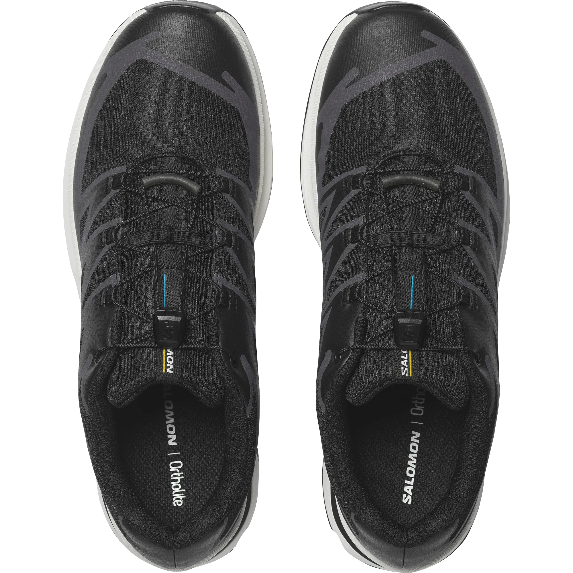 XT-EVR - Image 5