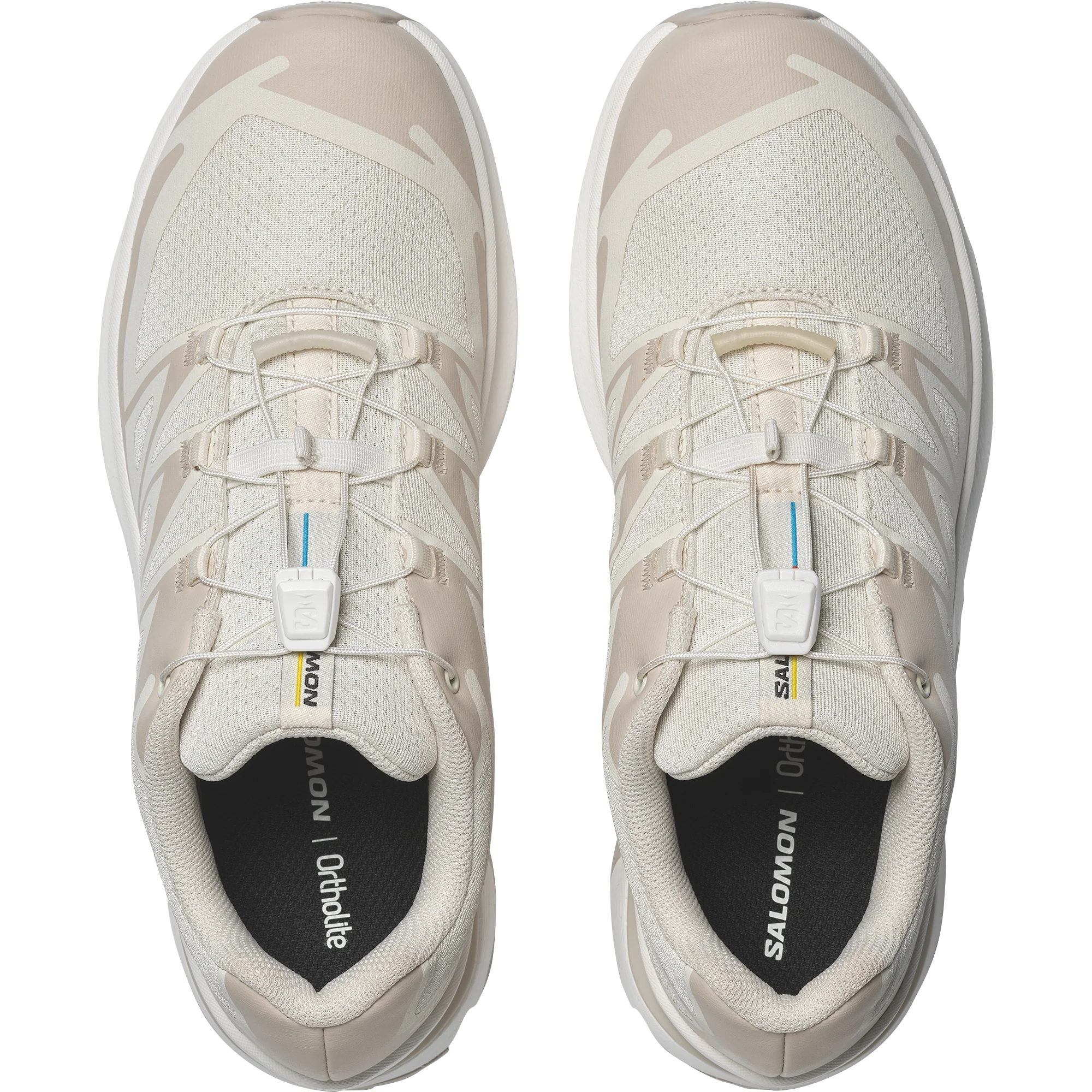 XT-EVR - Image 3