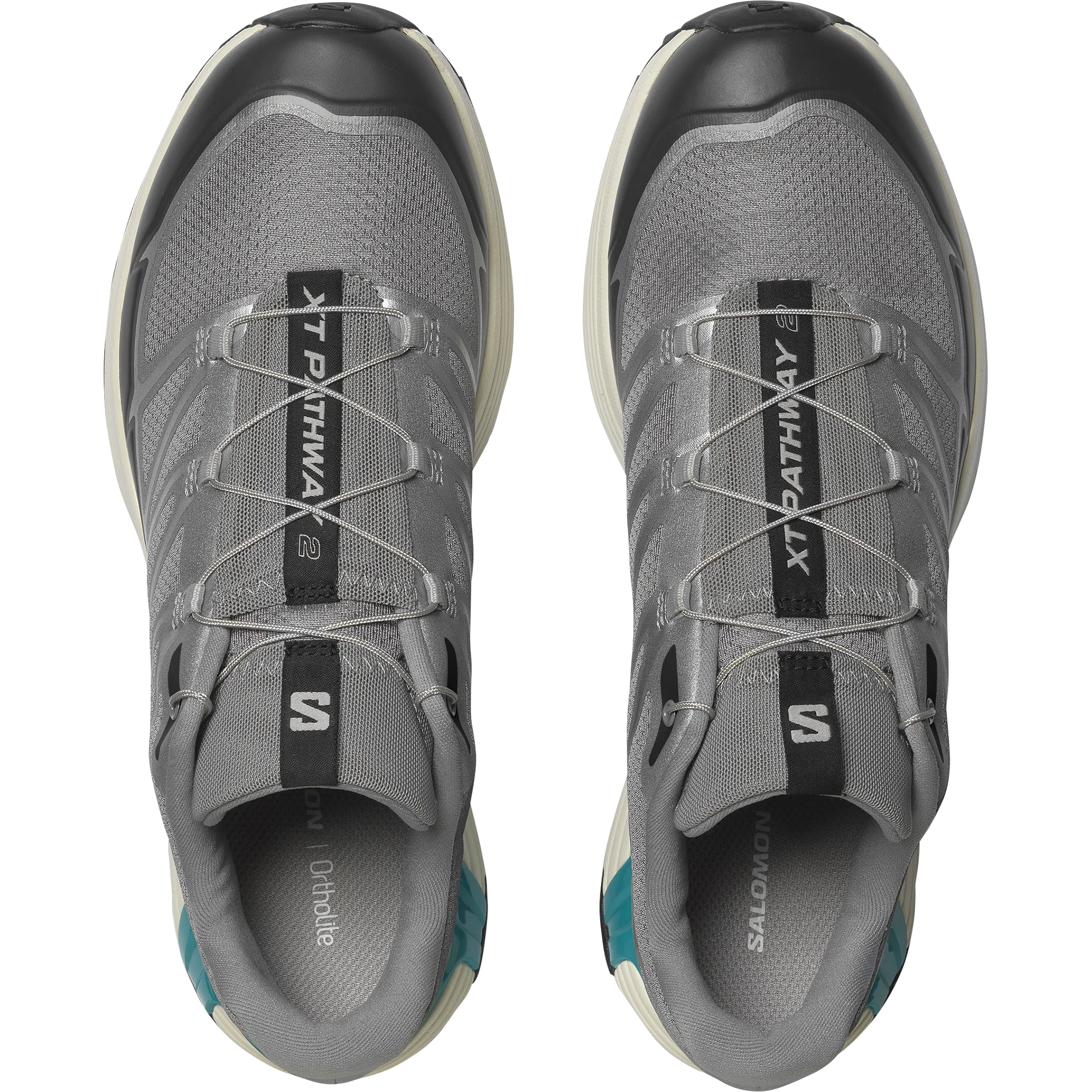 XT-PATHWAY 2 - Image 2
