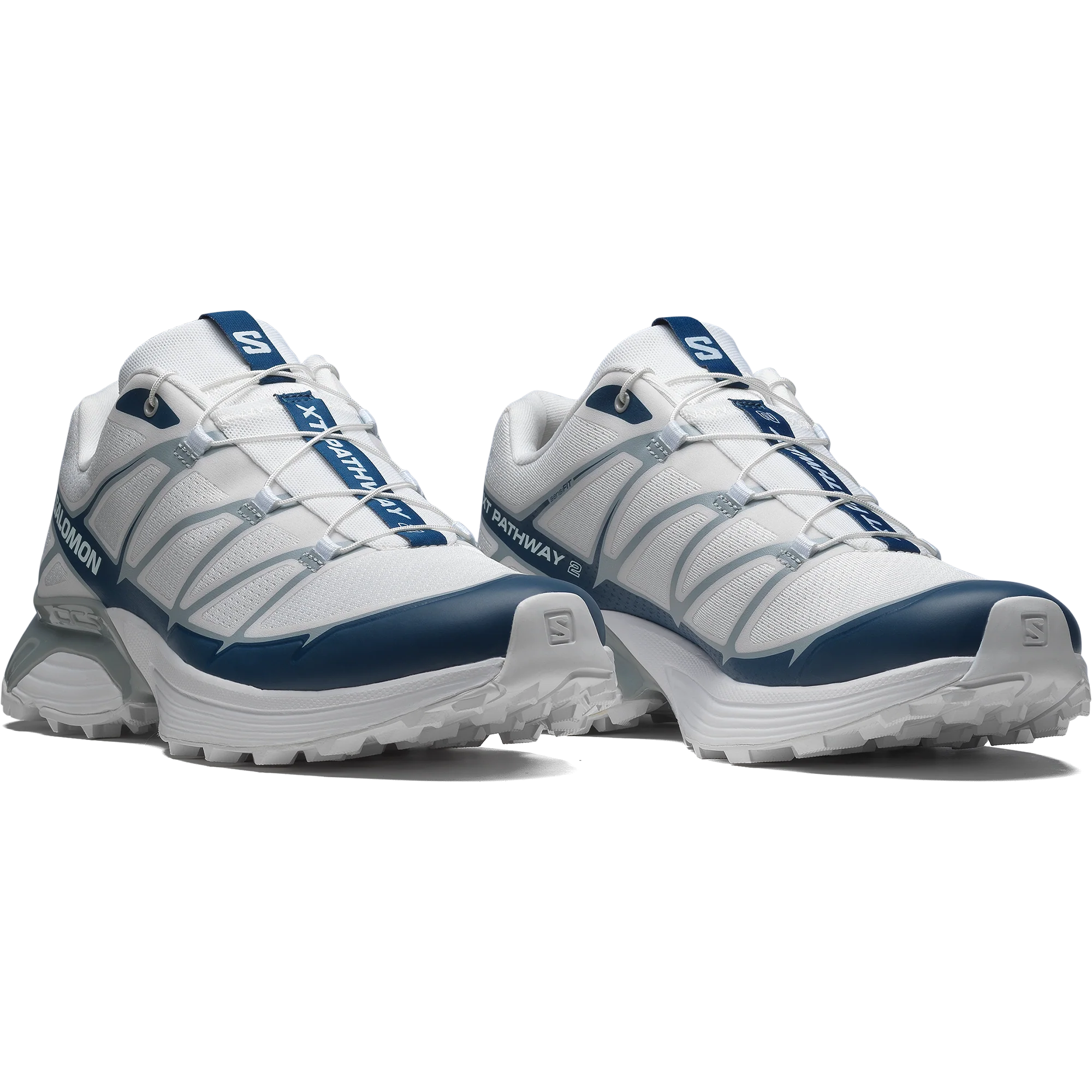 XT-PATHWAY 2 - Image 2