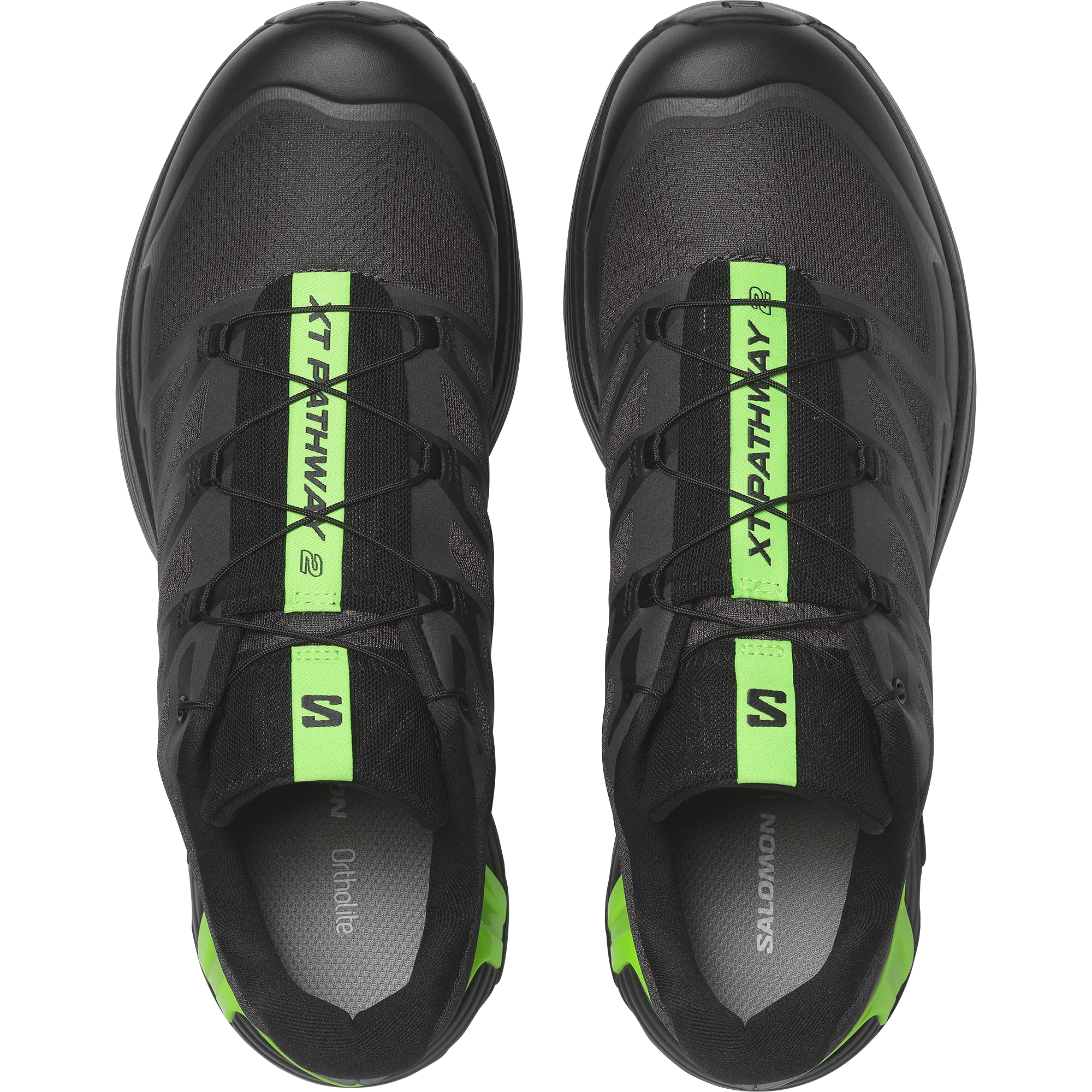 XT-PATHWAY 2 - Image 2