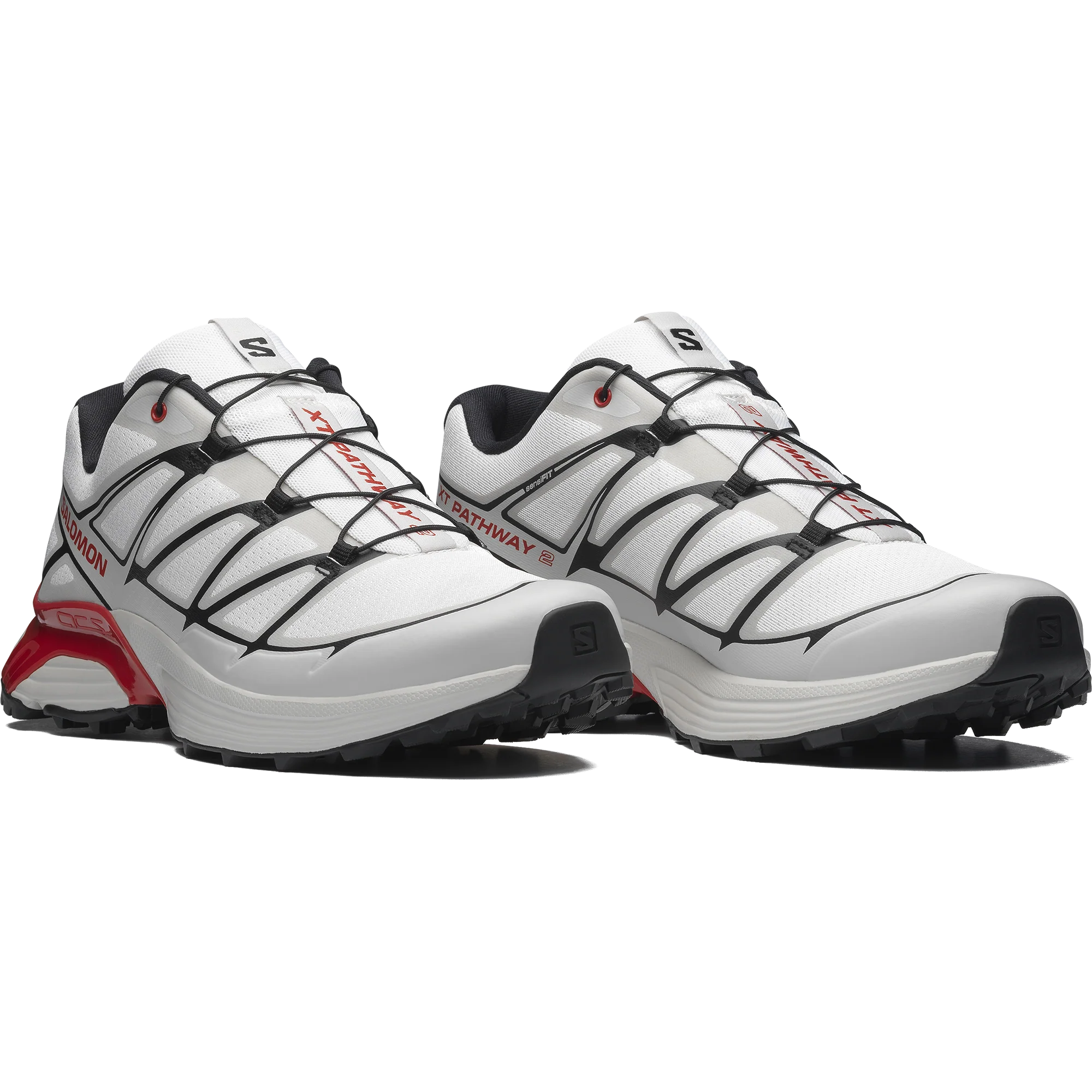 XT-PATHWAY 2 - Image 5