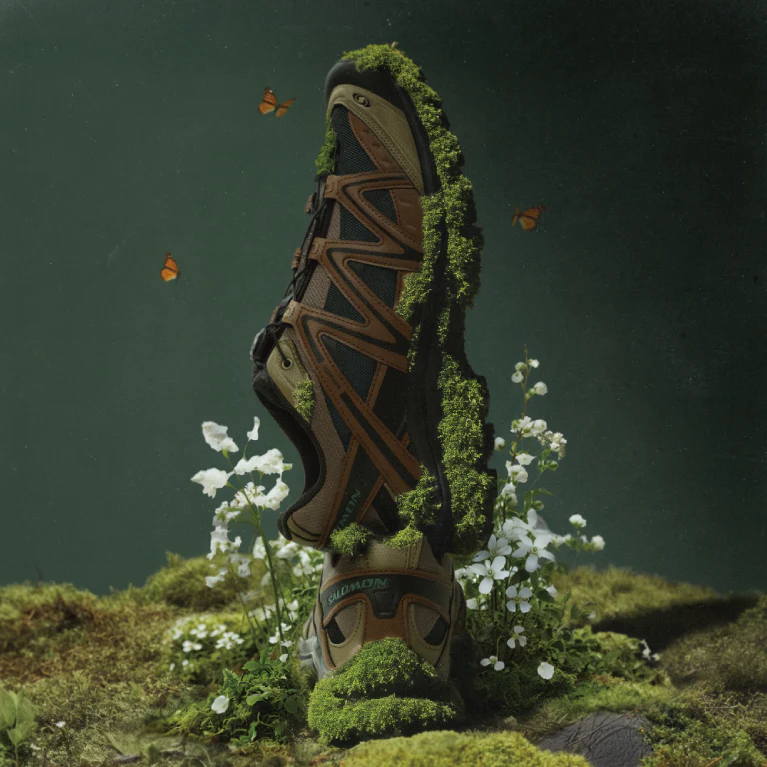 XT-QUEST - Image 2
