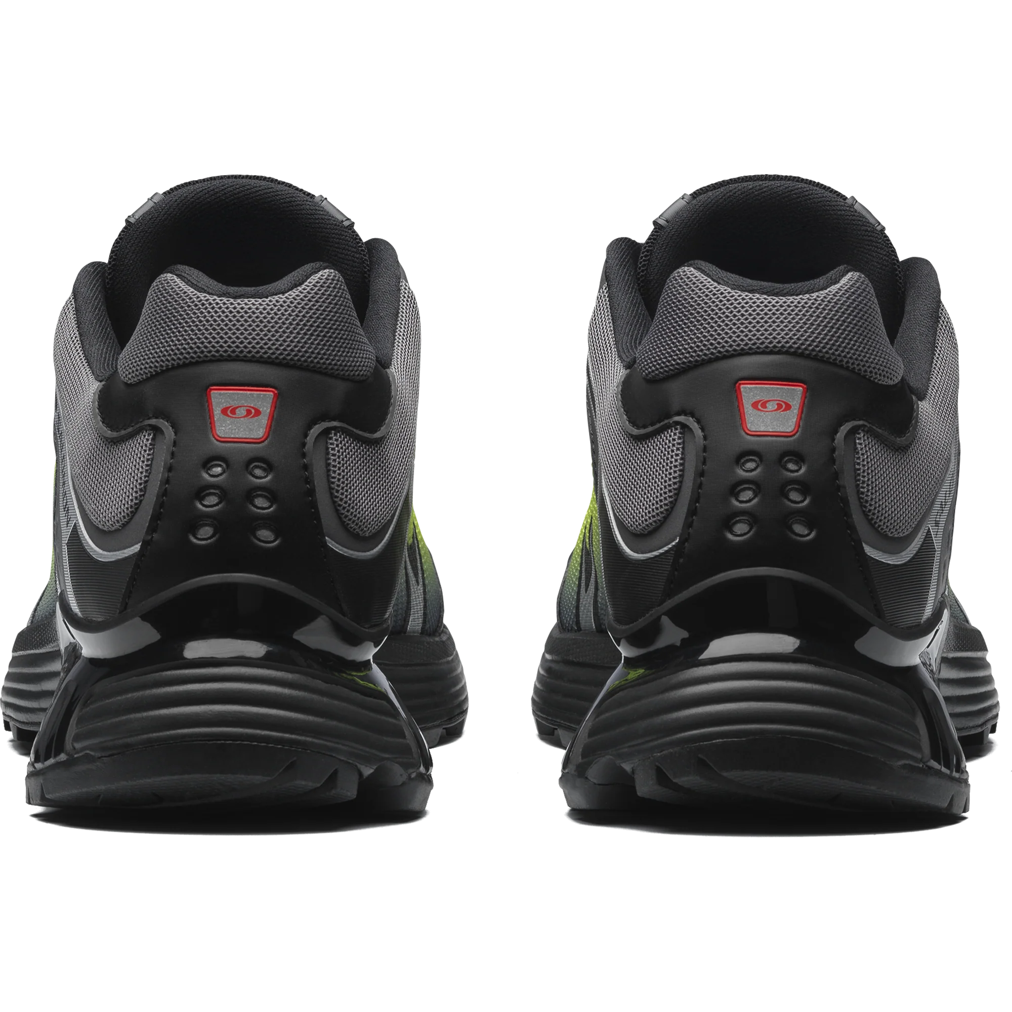 XT-WHISPER - Image 4