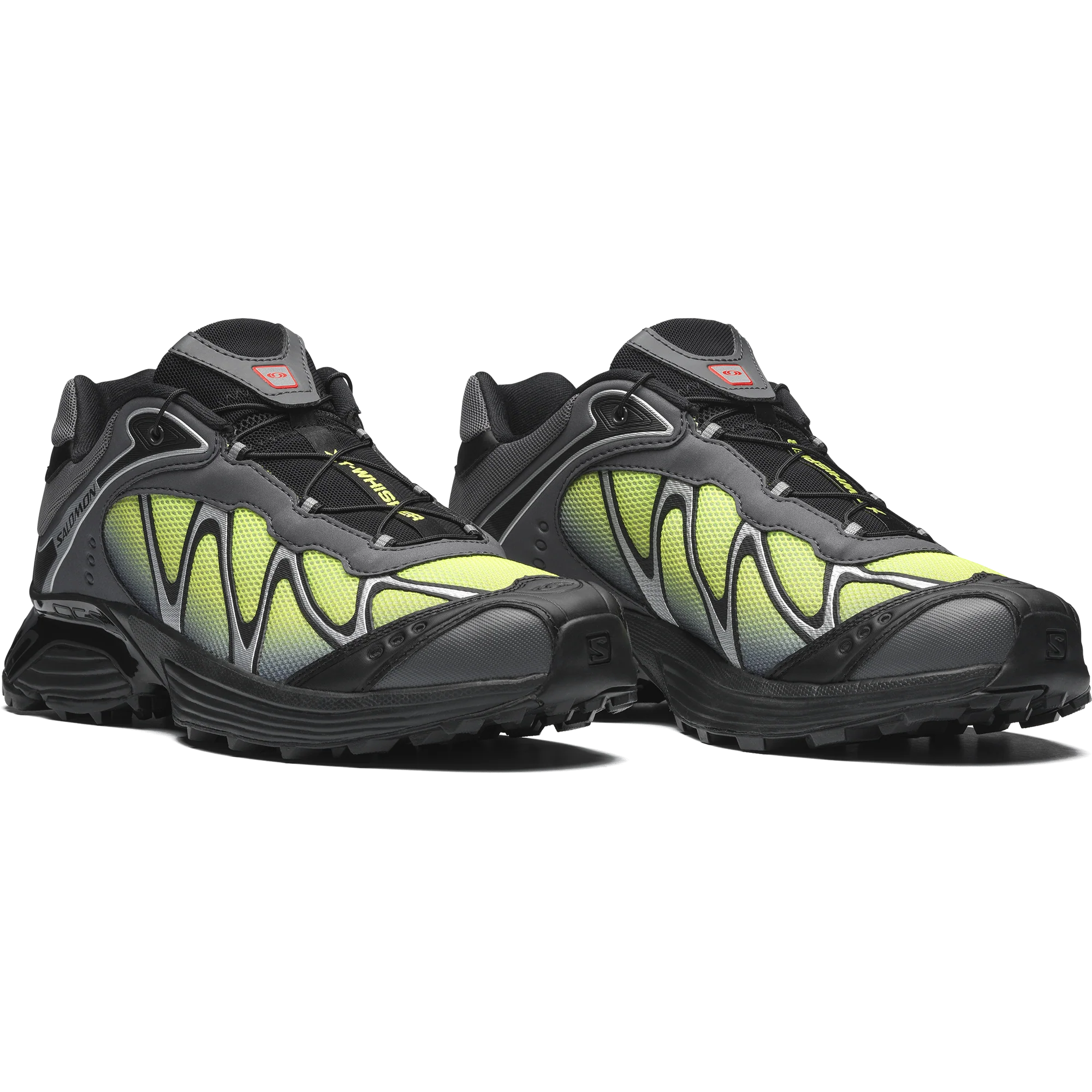 XT-WHISPER - Image 5