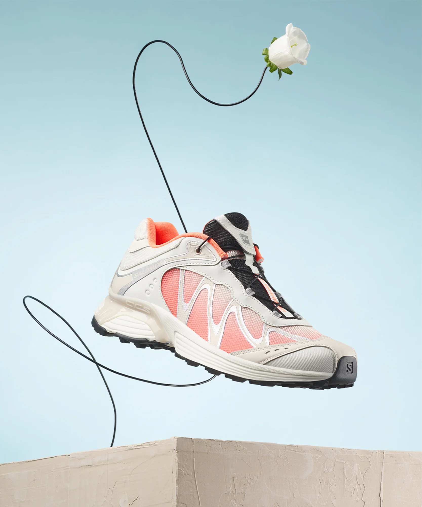 XT-WHISPER - Image 3